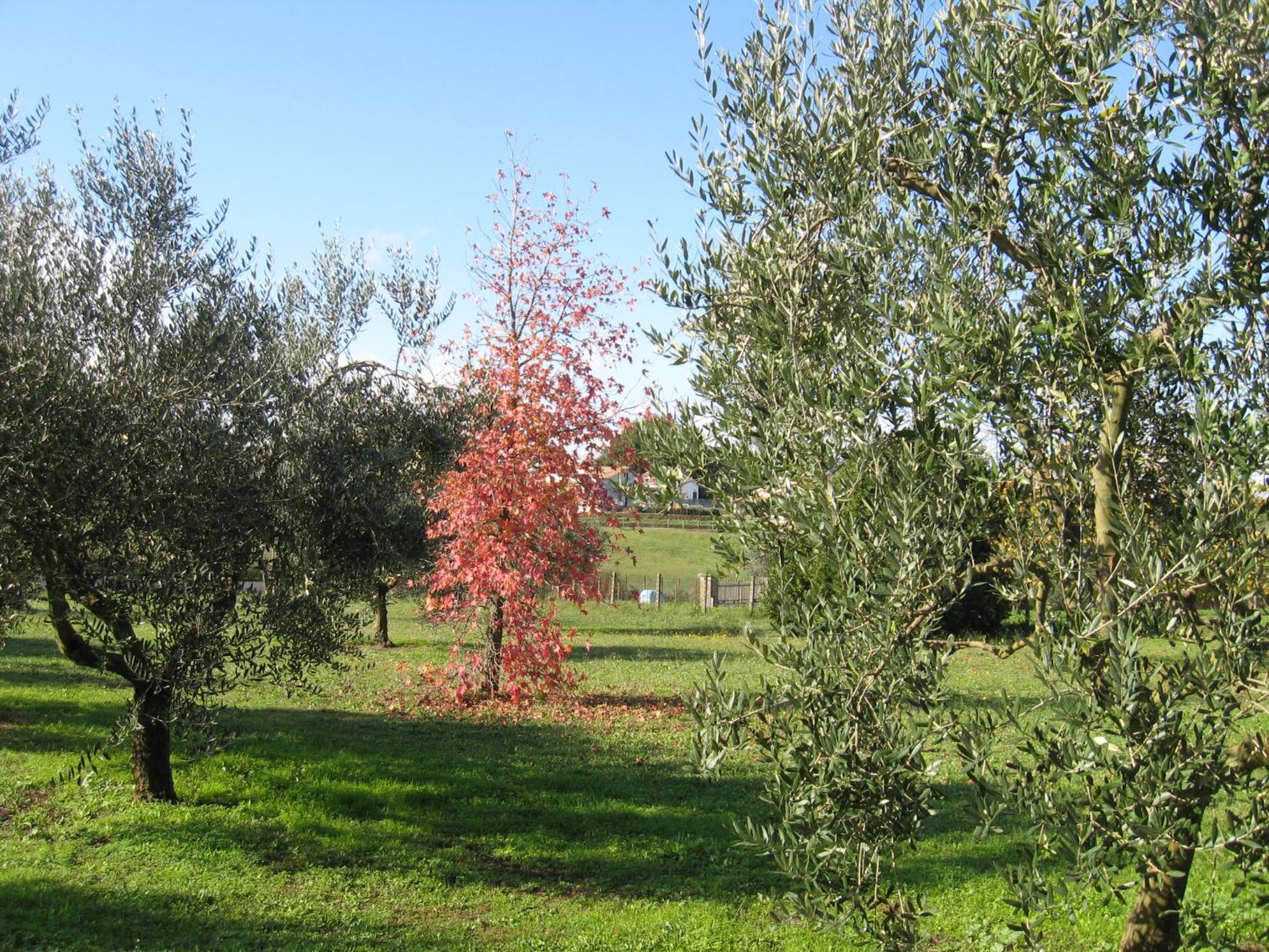 Photo 17