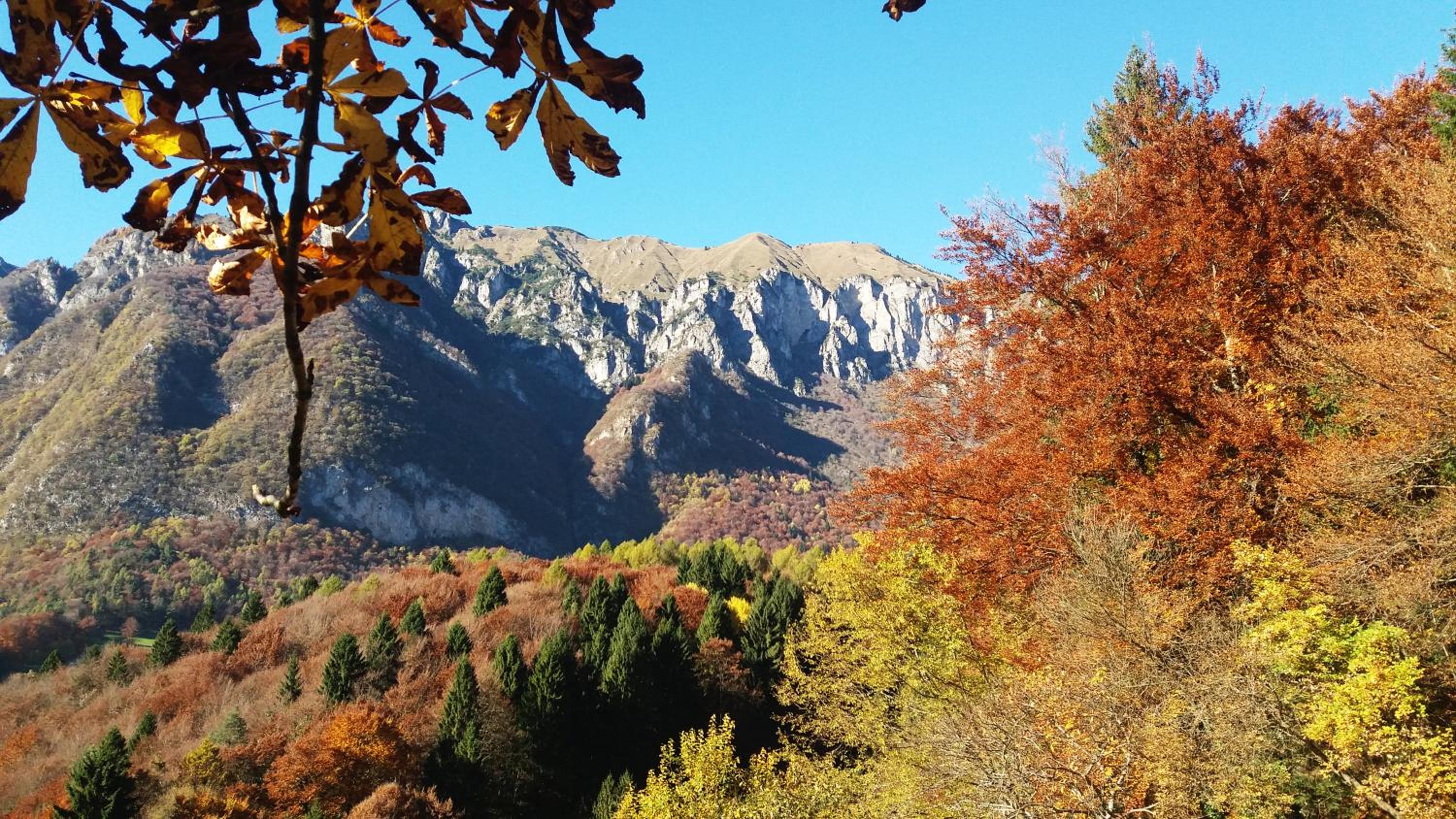 Villa Paradiso Parolari photo 4