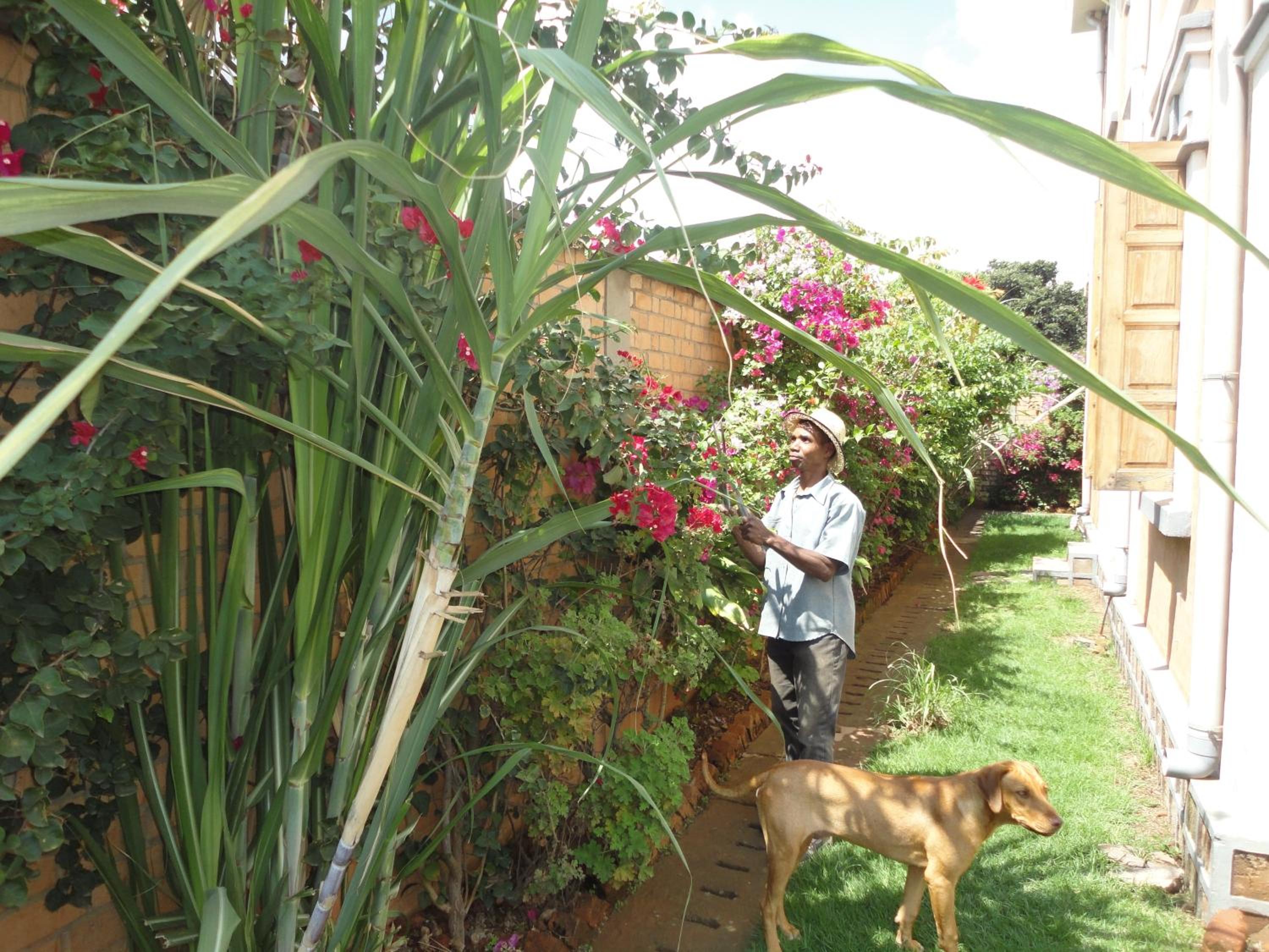 Meva Guesthouse