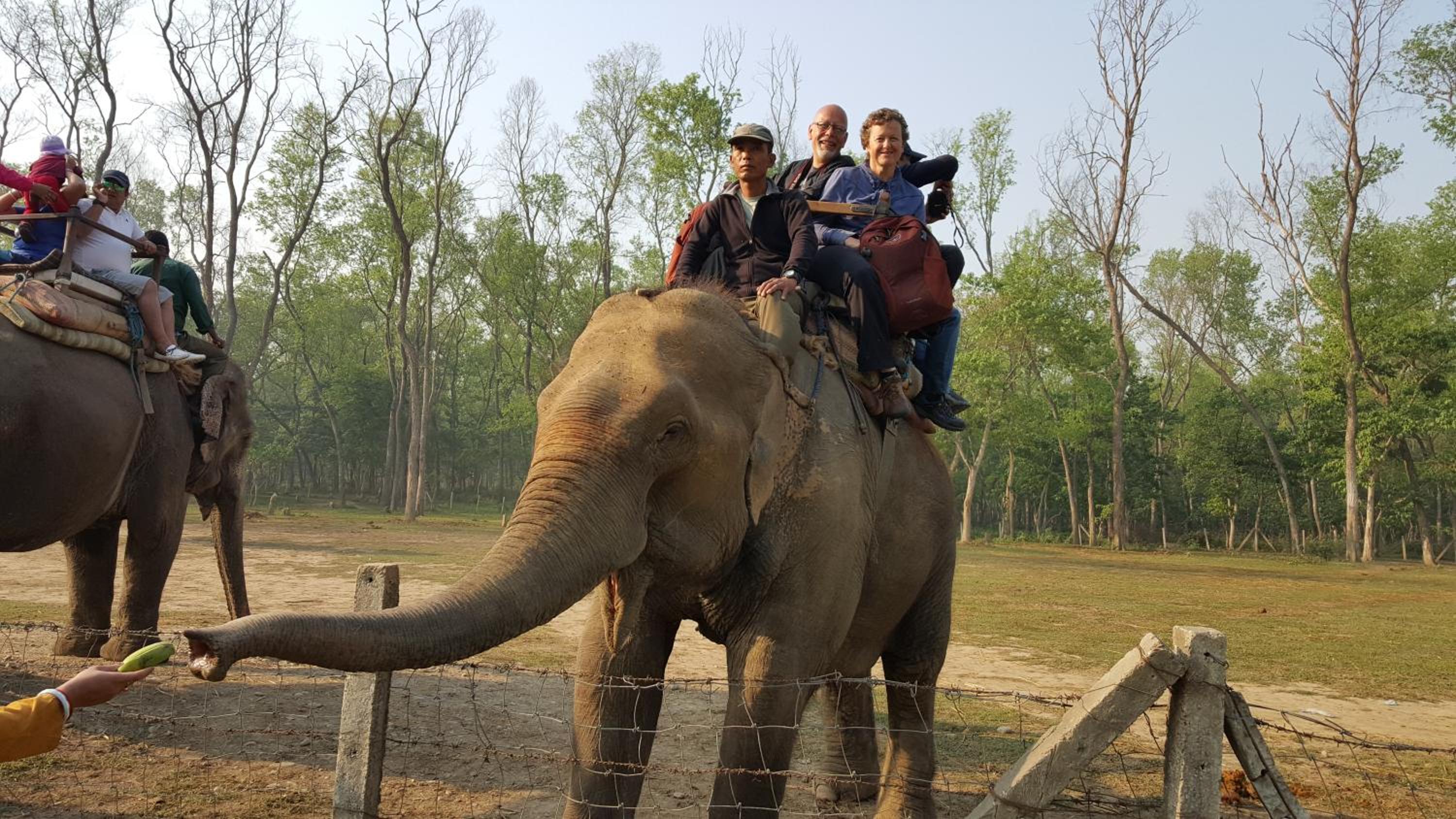 Sauraha Resort