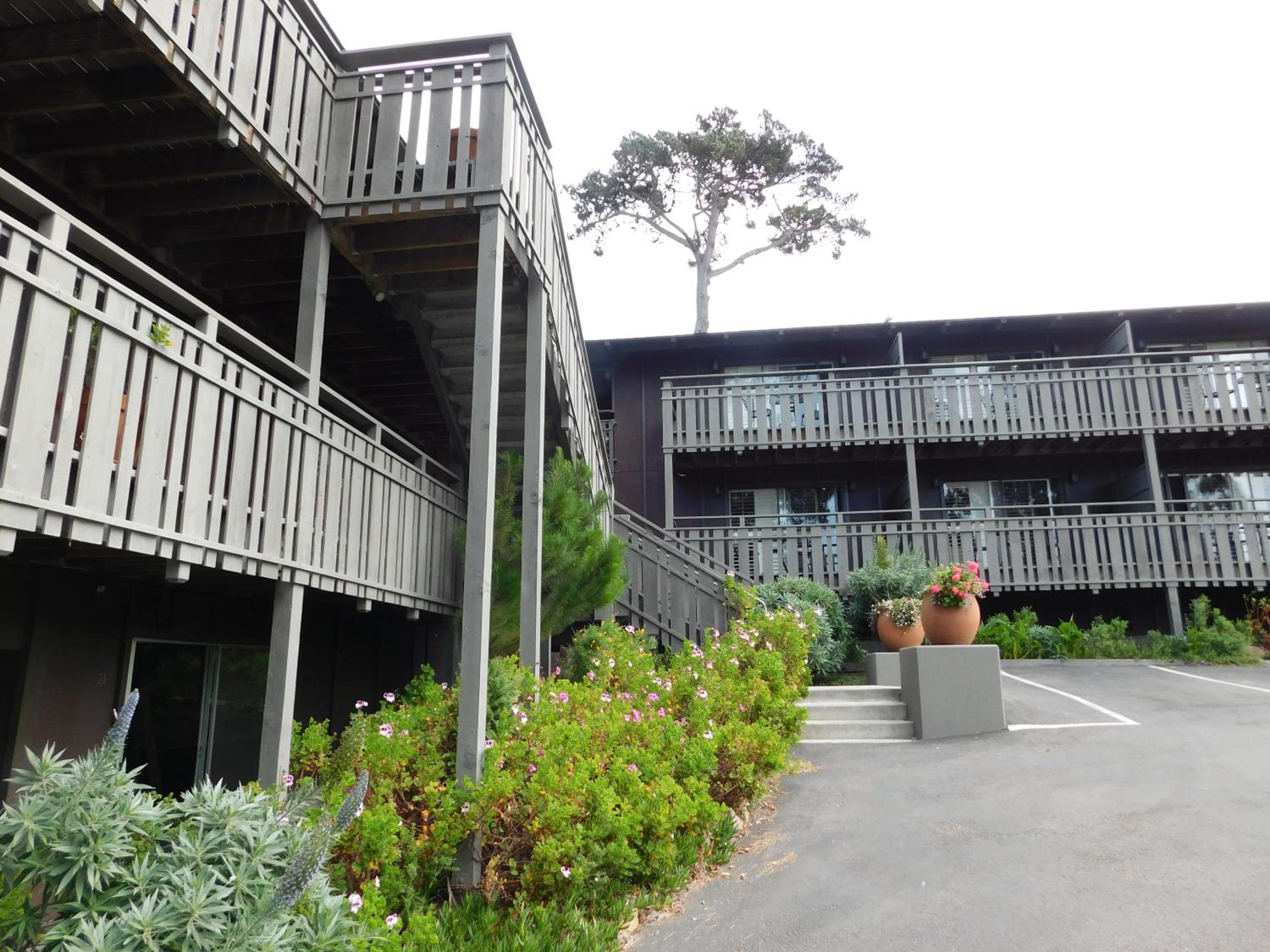 The Olympia Lodge