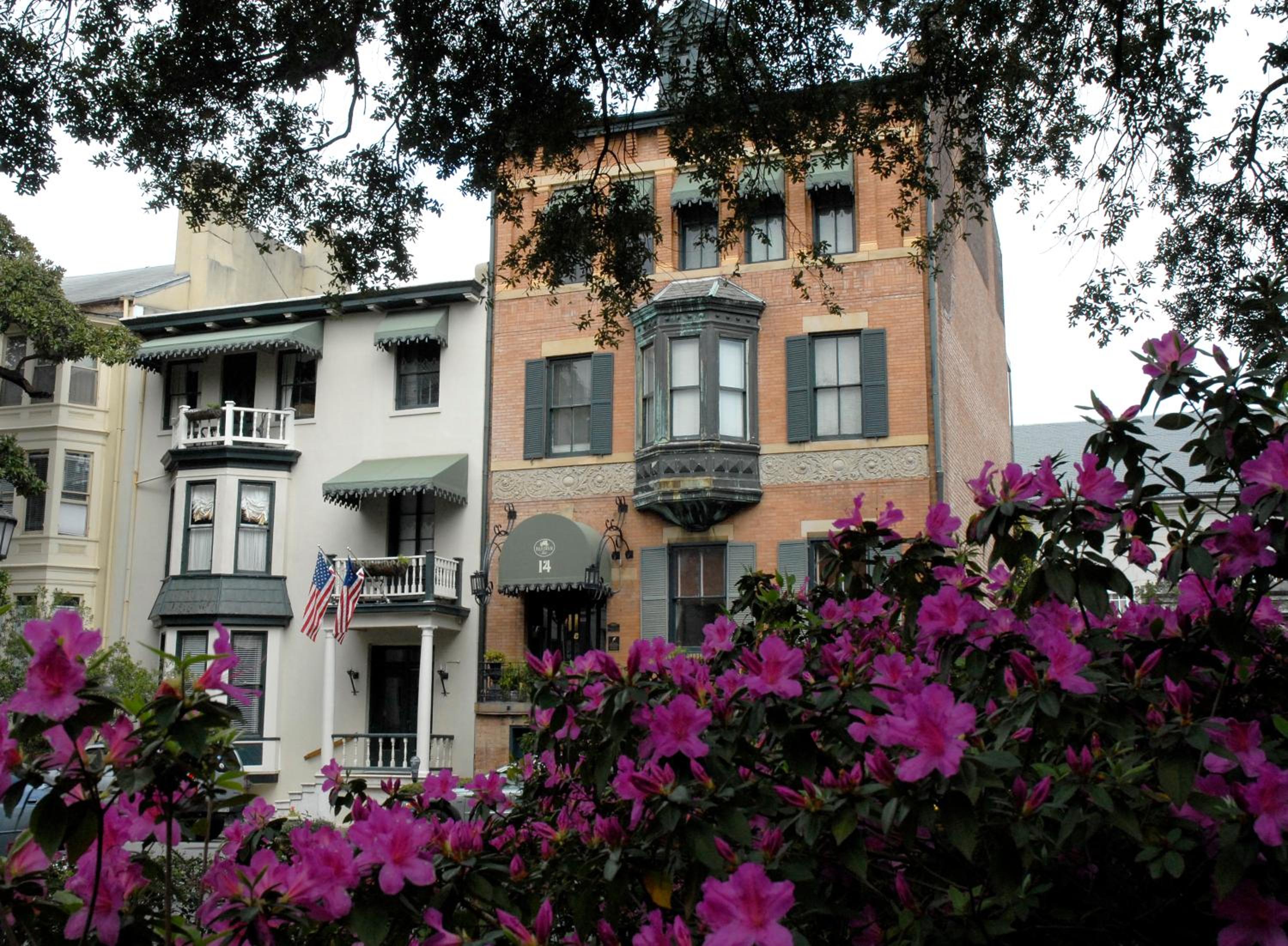Historic brick and Victorian row houses draped in live oak branches with pink azaleas blooming in the foreground in Savannah, Georgia's historic district