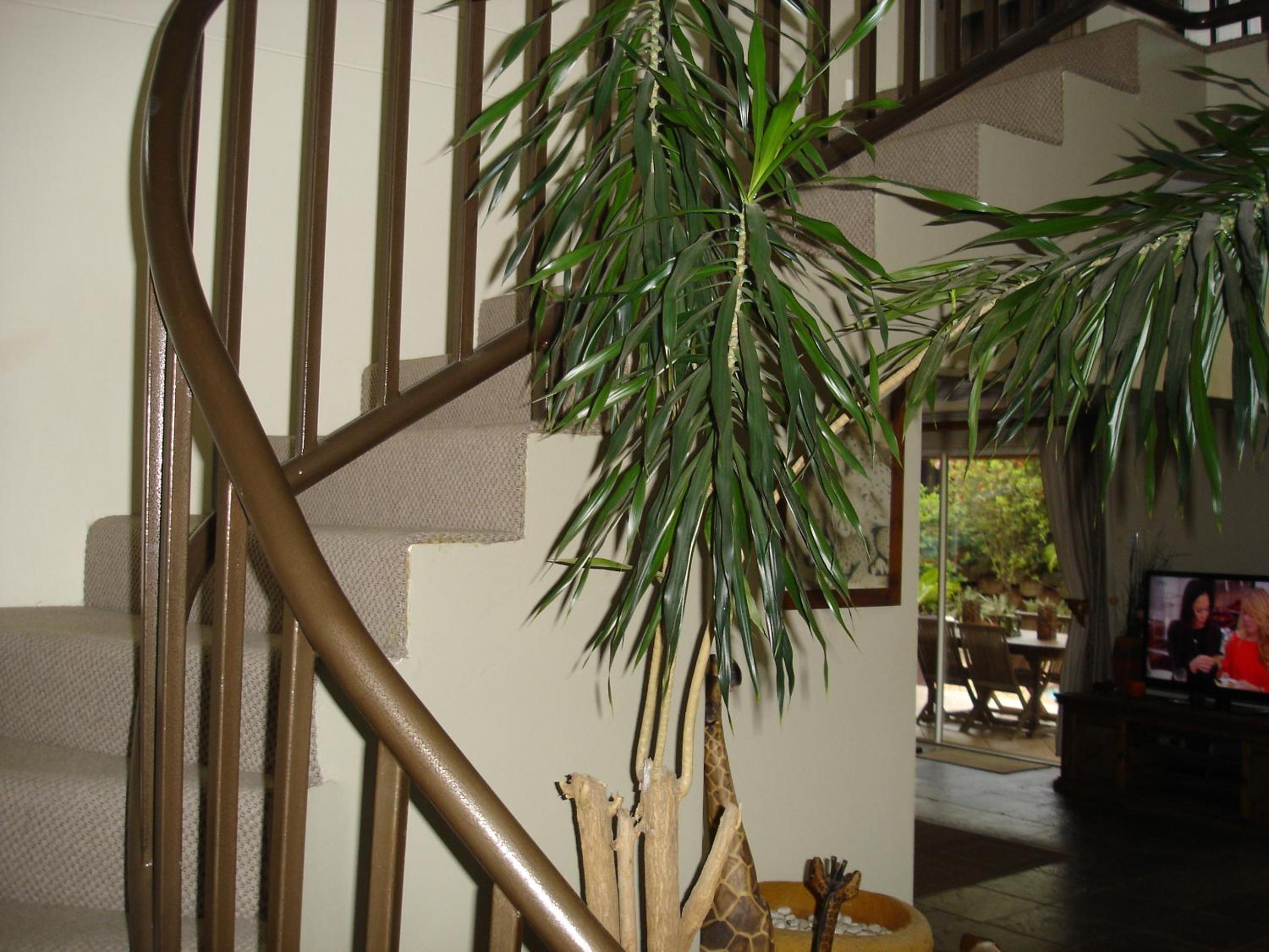 Bella Vista Guest House Umhlanga La Lucia view 3