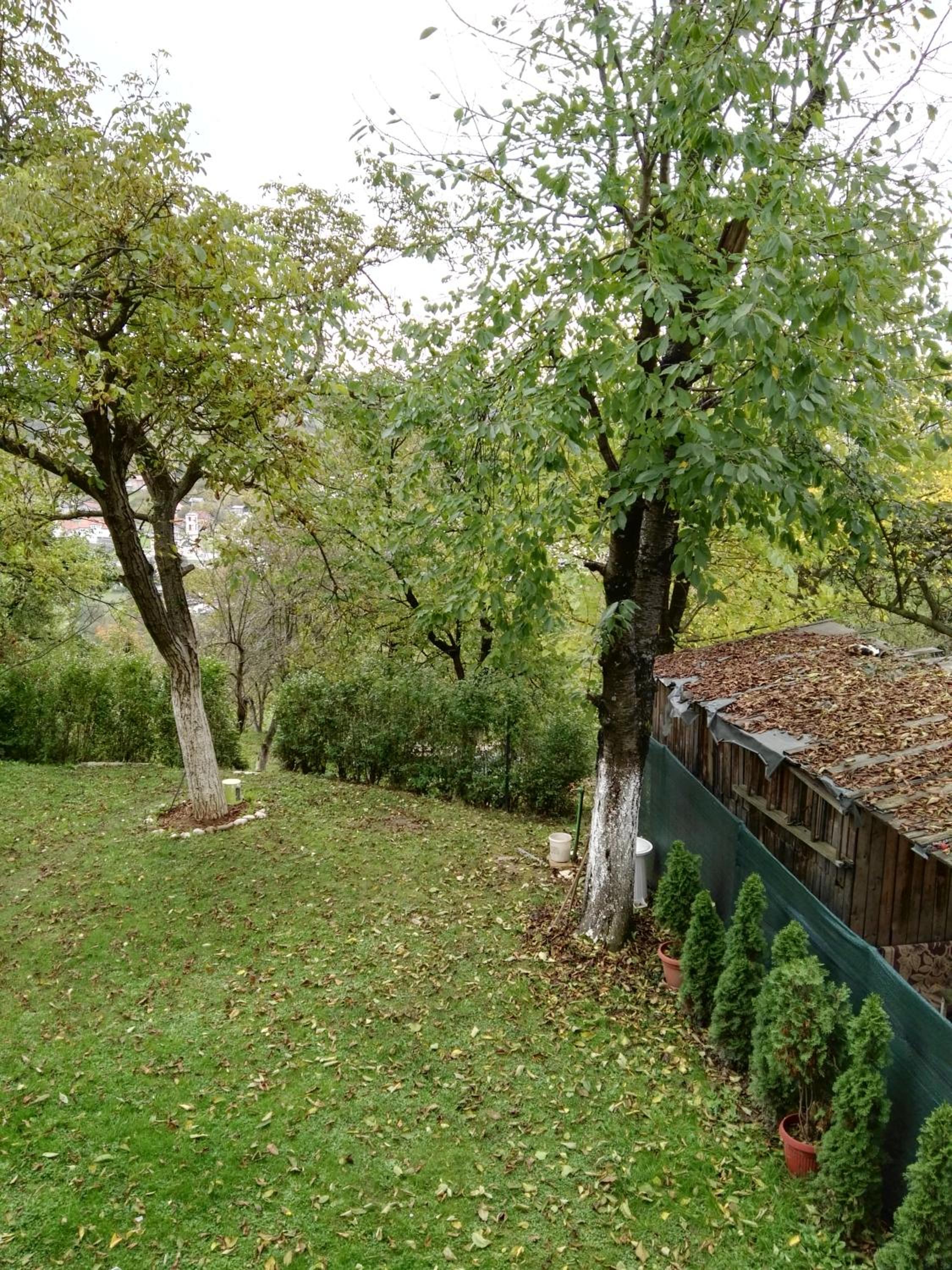 Photo 43
