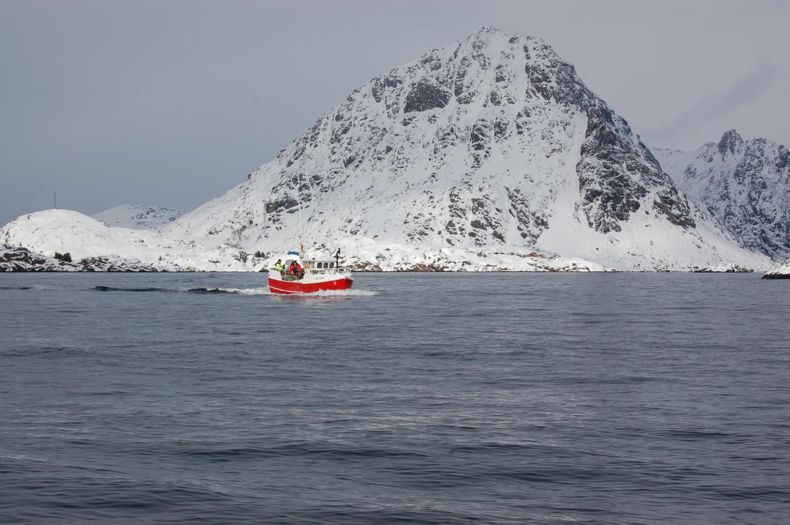 Photo 43