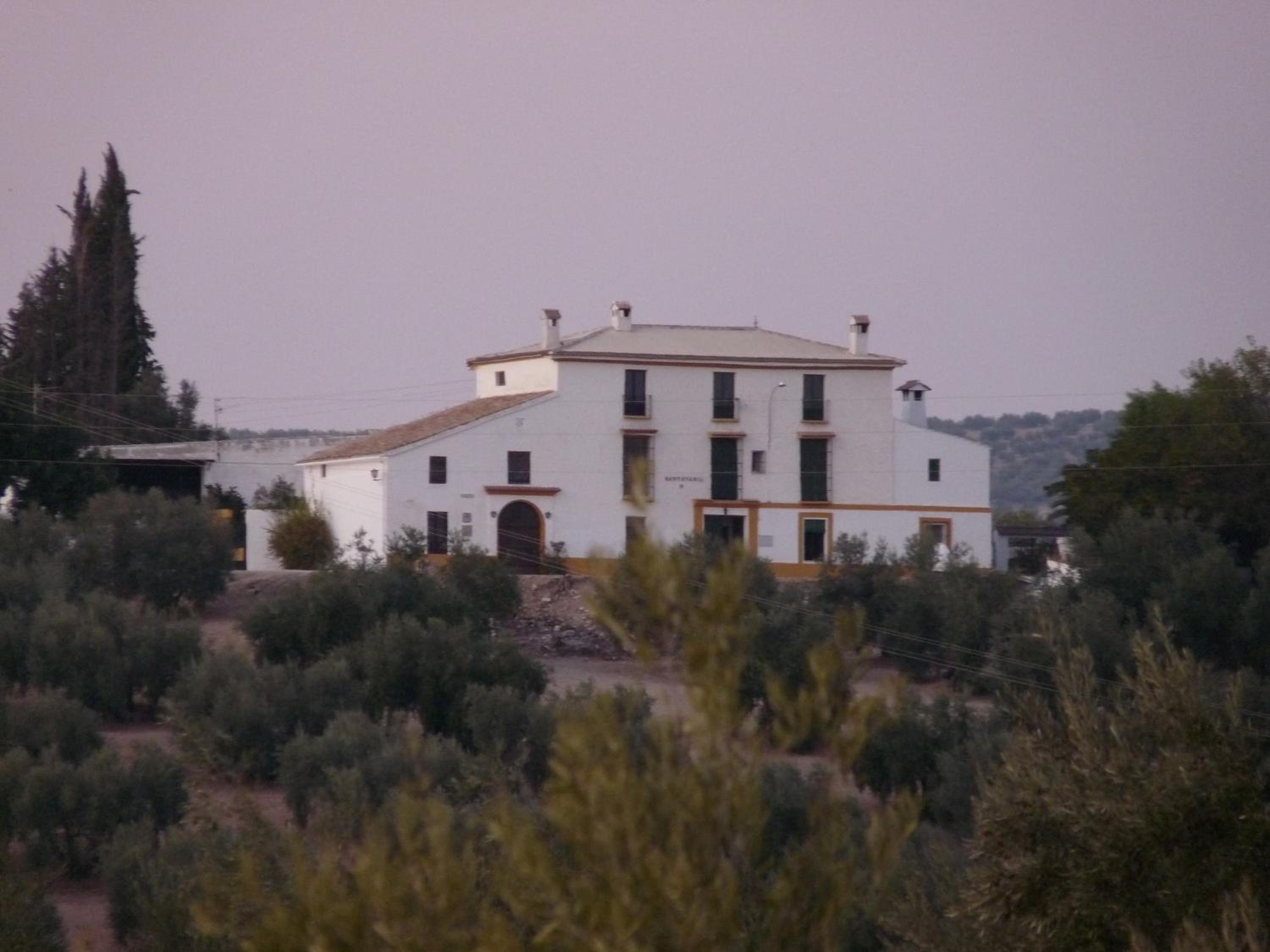 Cortijo Ribero photo 2