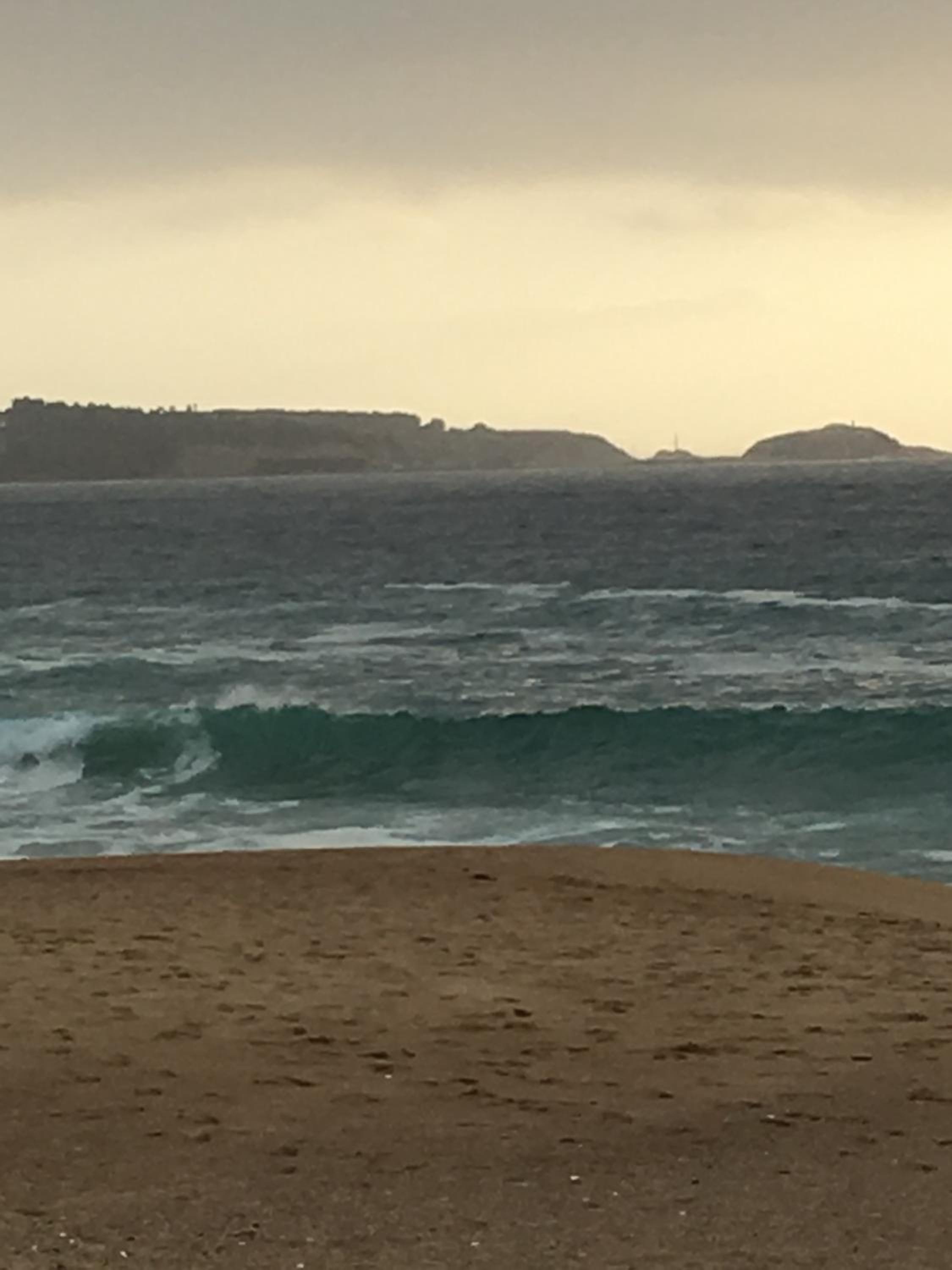 Cabañas en Algarrobo Norte