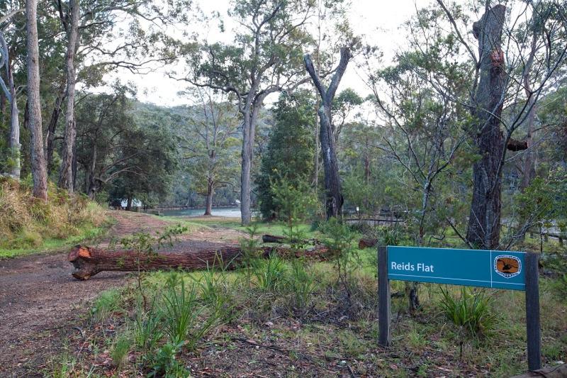 Royal National Park Cottages