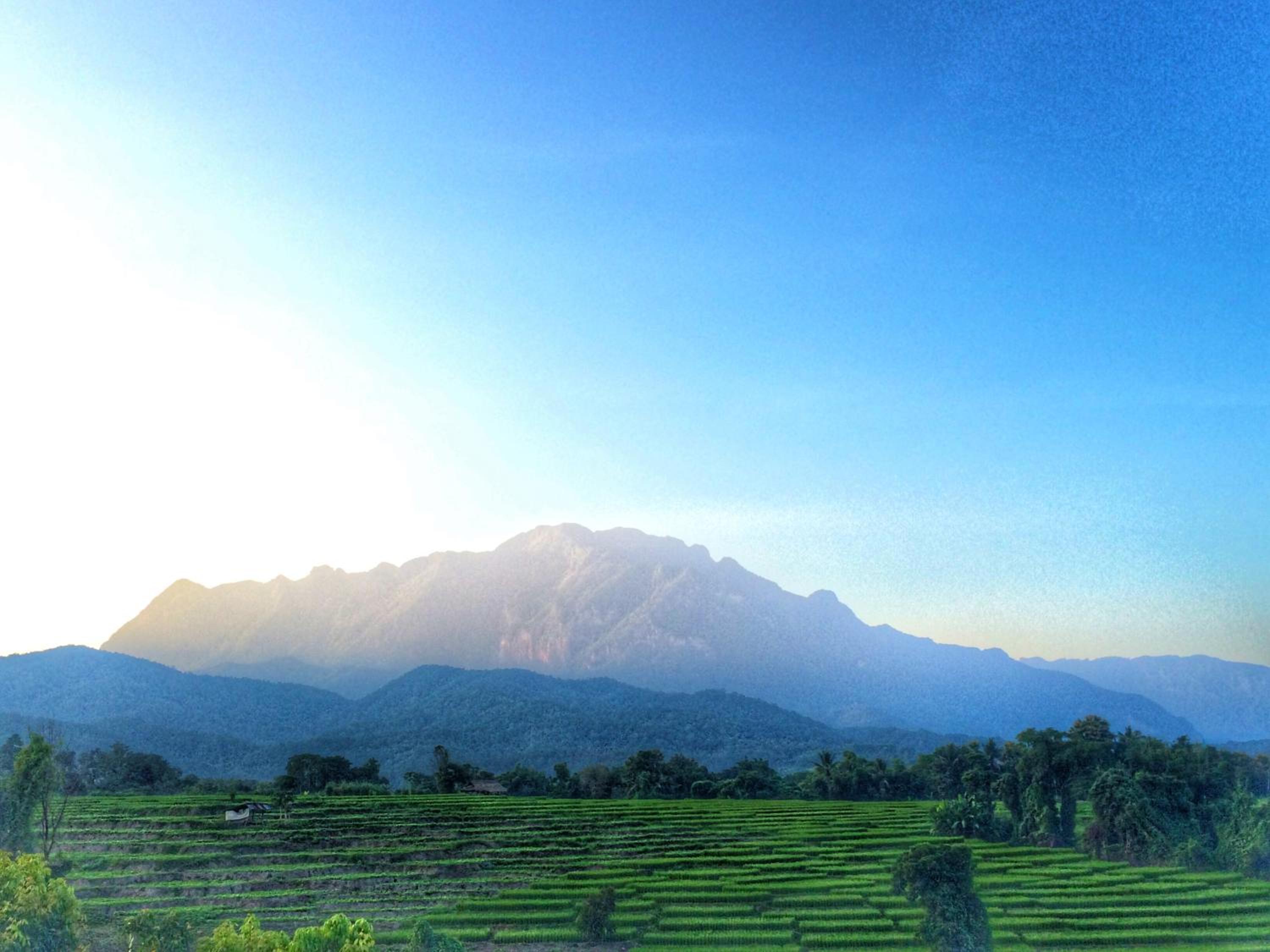 Buraphat Resort