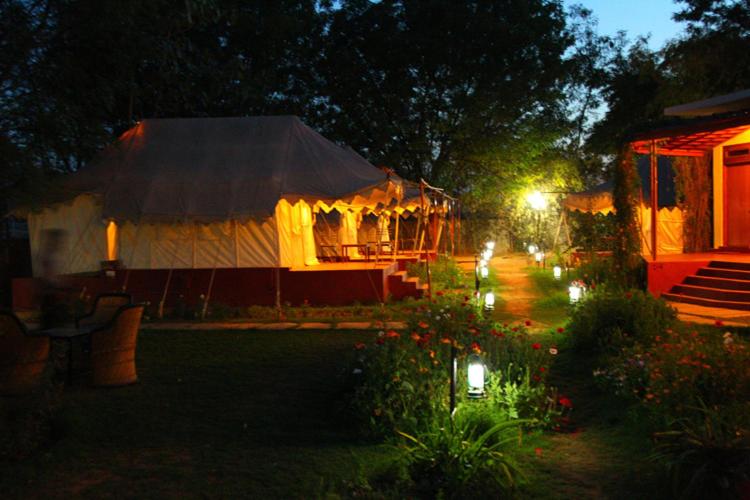 Jungle View Resort Ranthambhore
