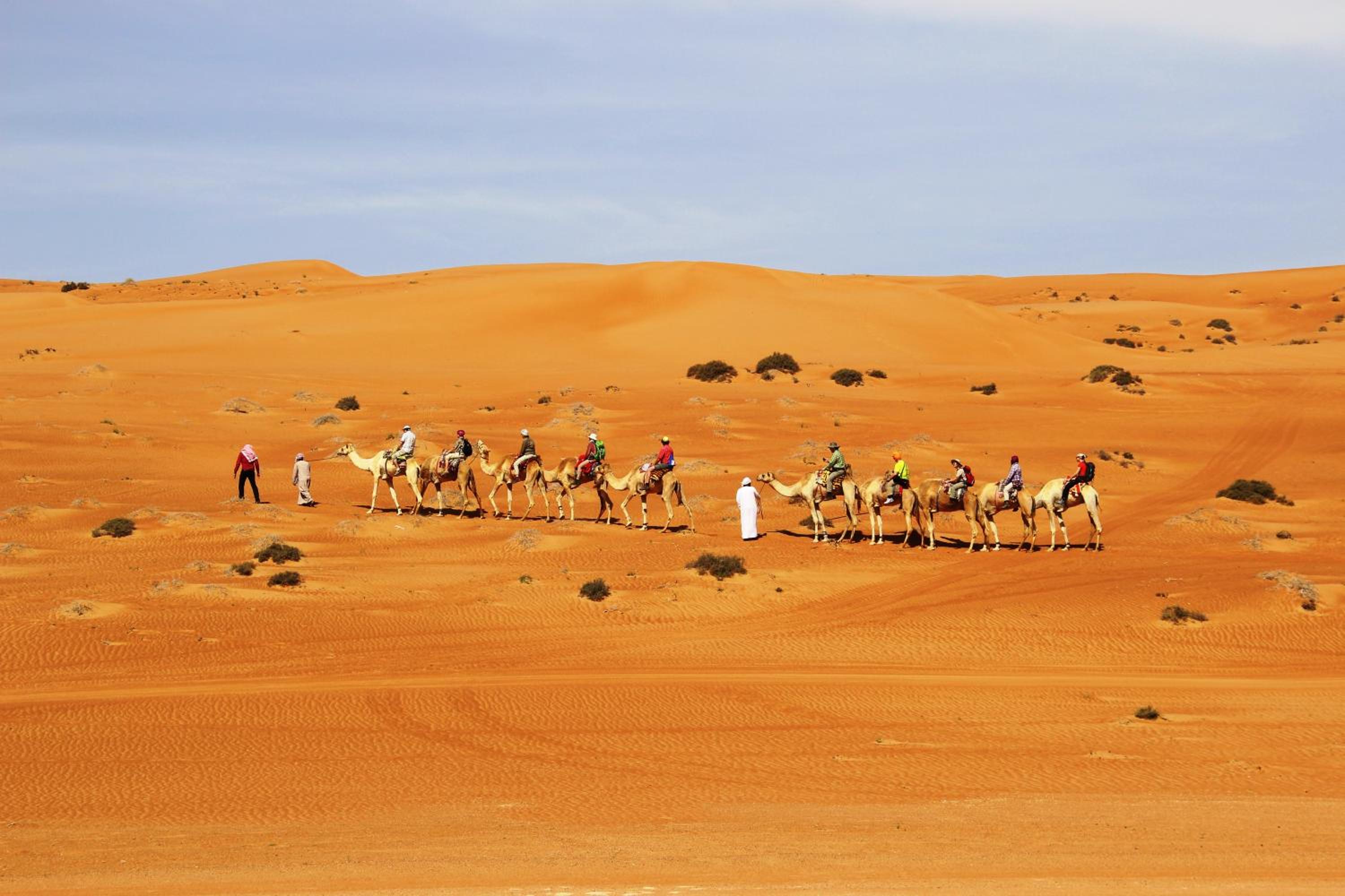 Sands Dream Tourism Camp