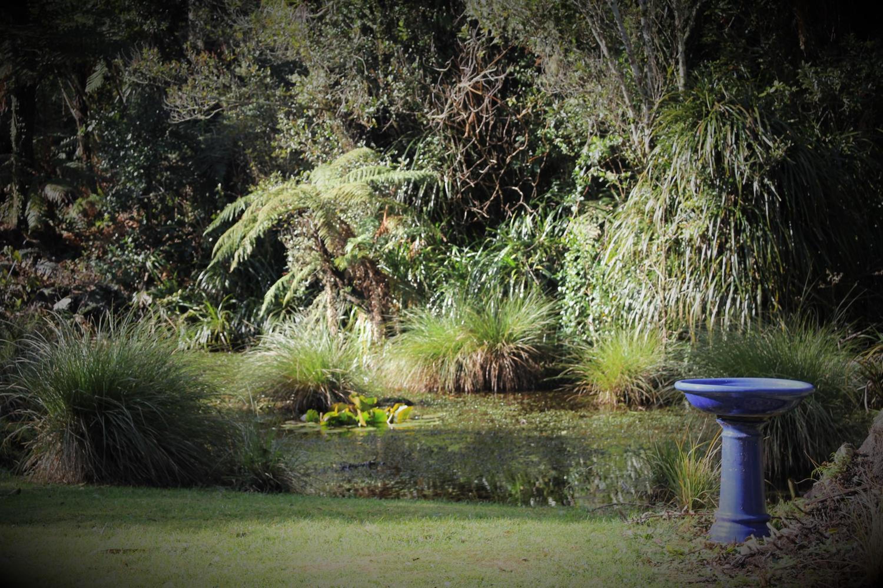 Patuha Rainforest Retreat