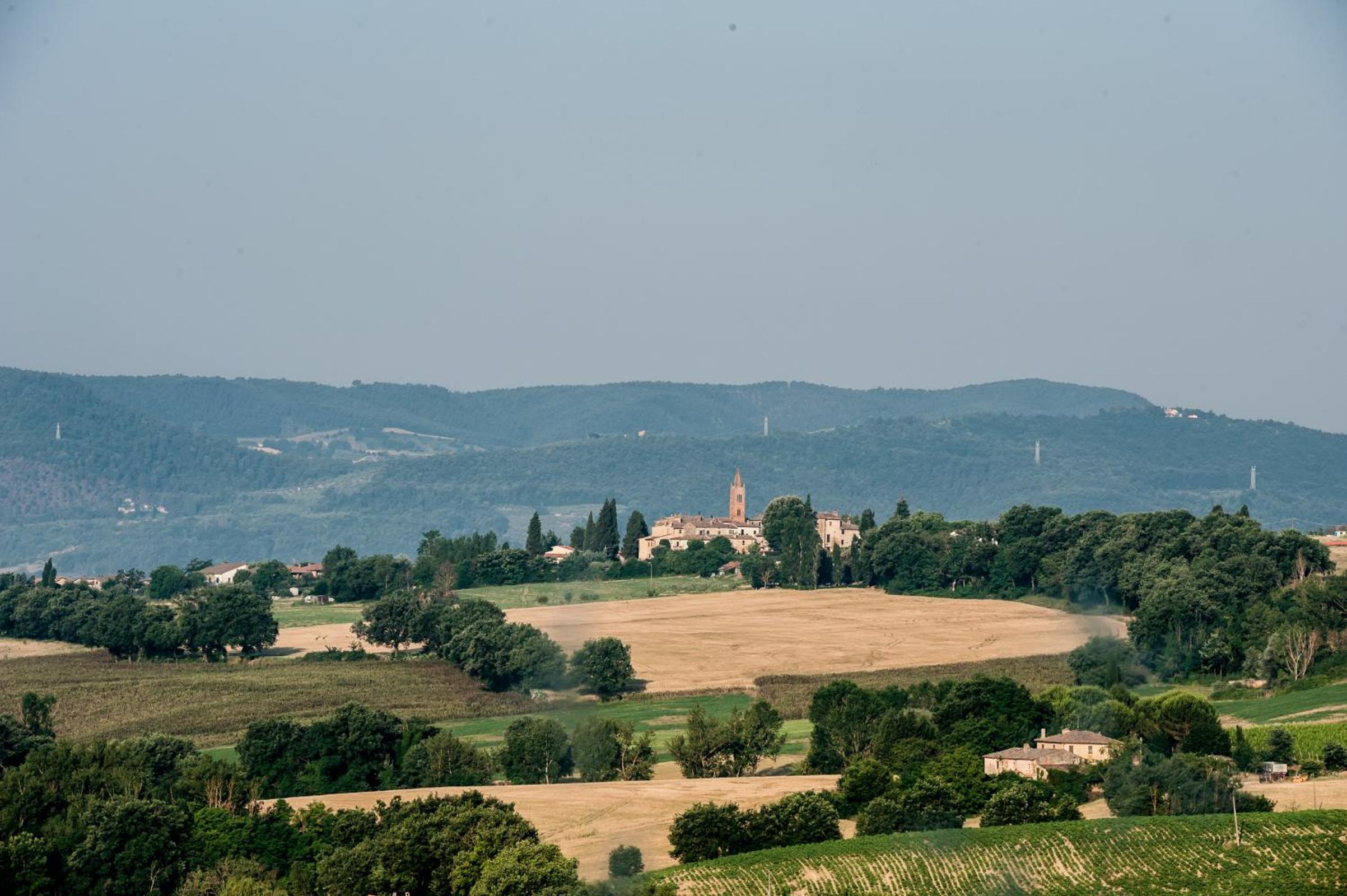 Photo 42