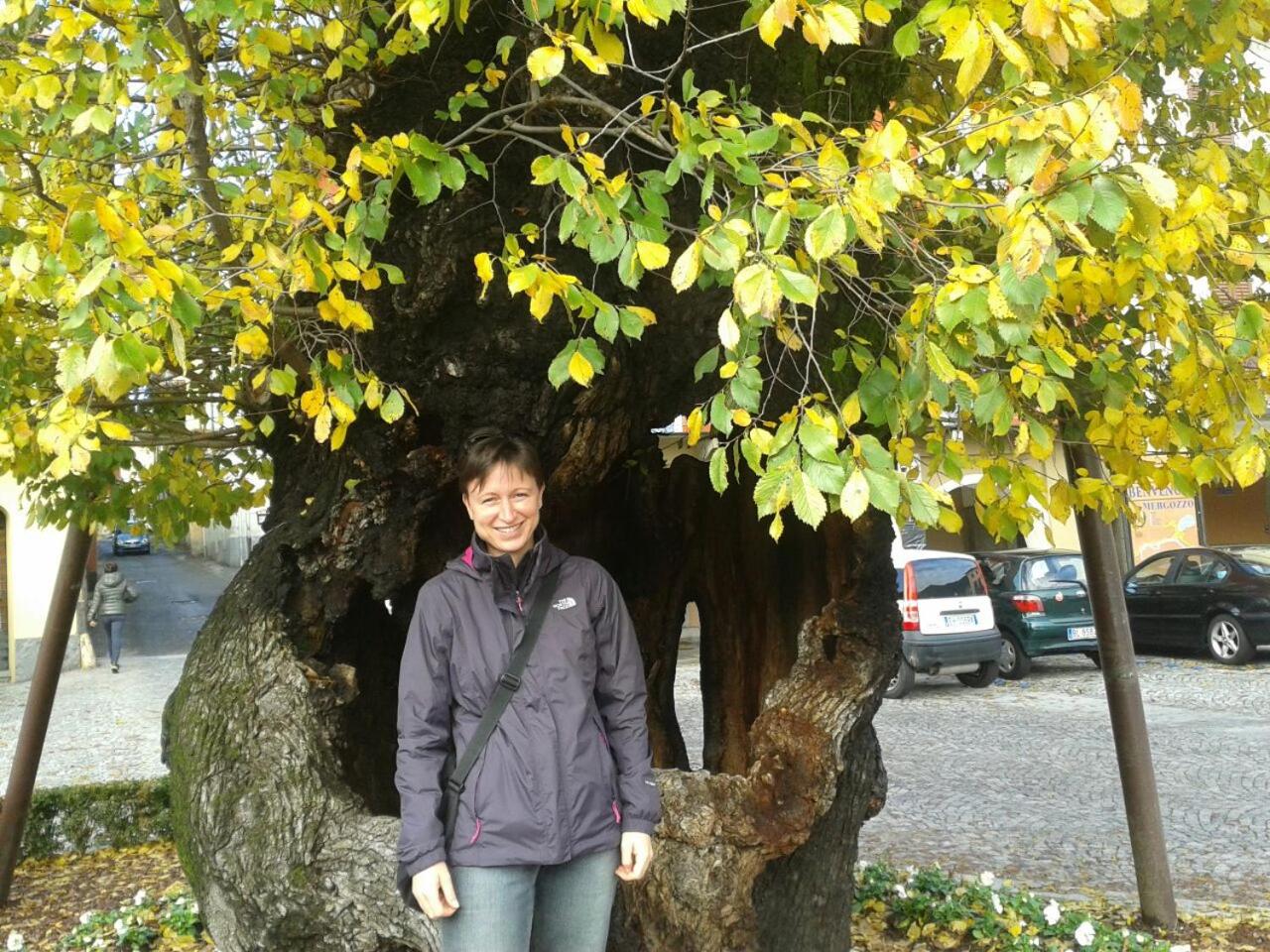 Photo 18