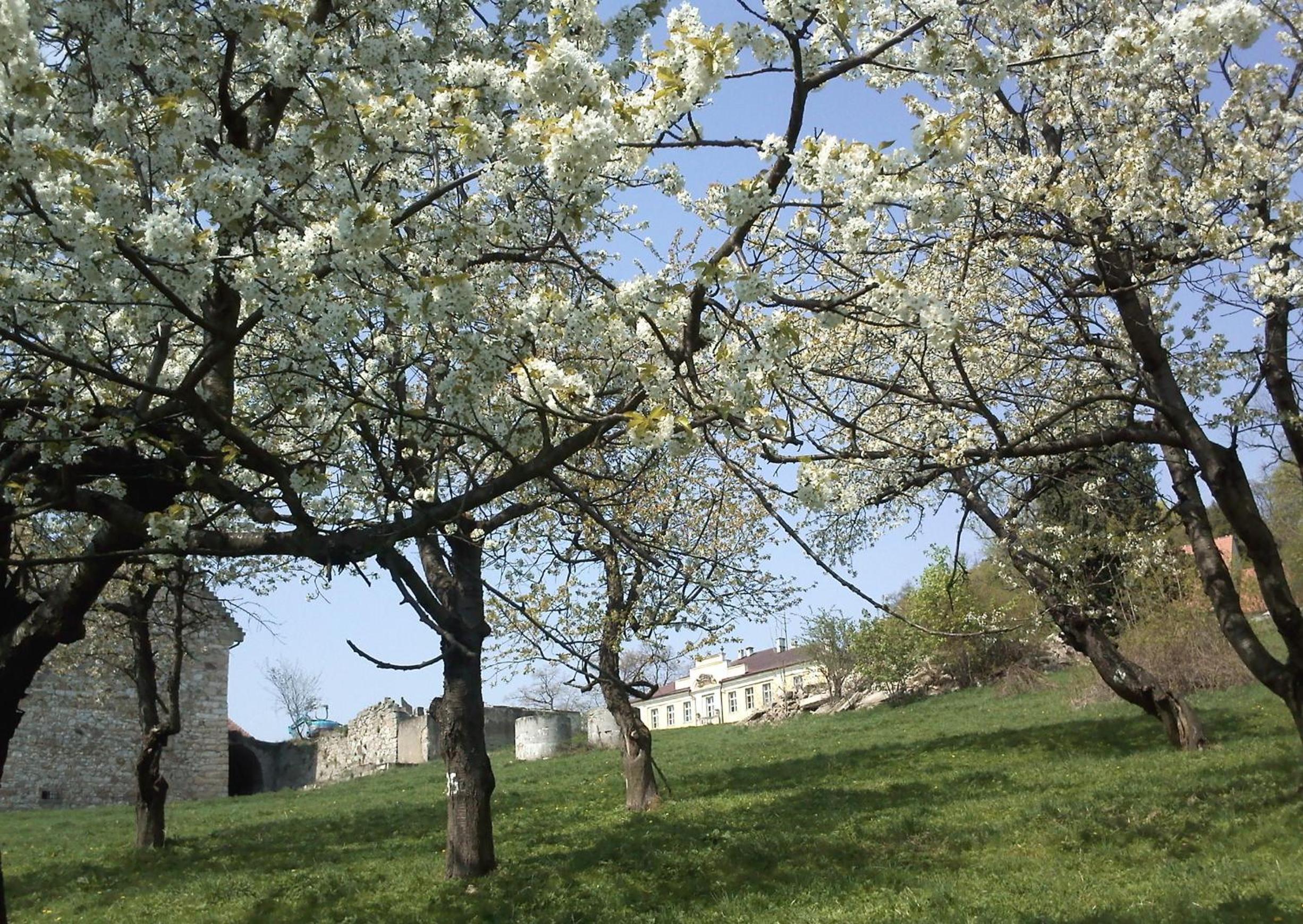 Photo 22
