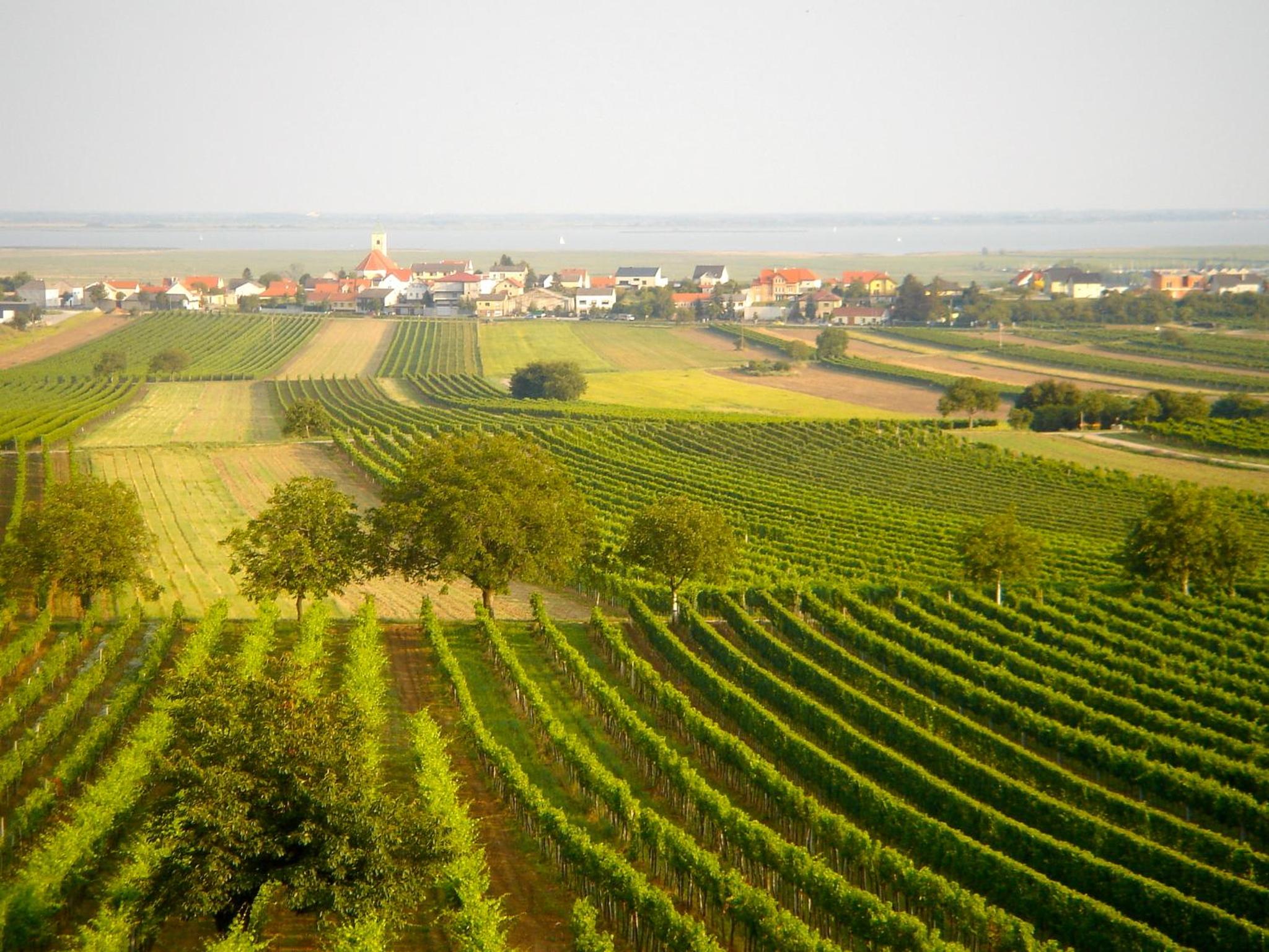 Weingut & Gästehaus zum Seeblick - Familie Sattler