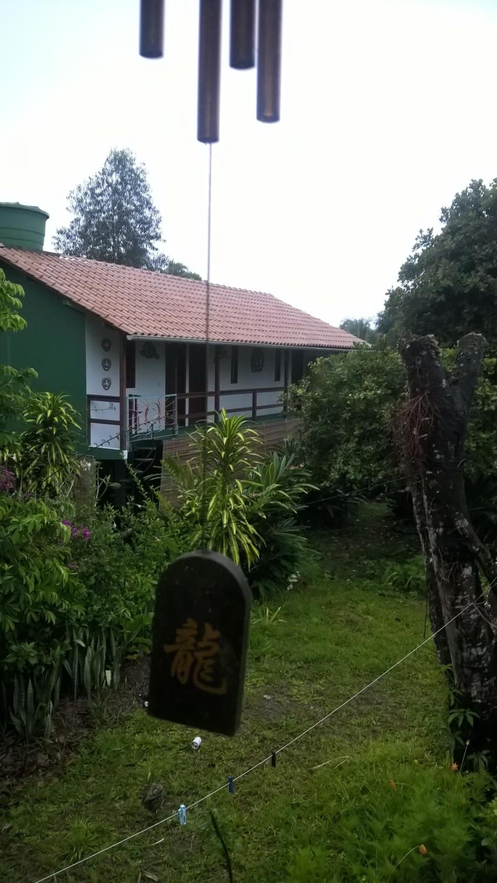 Photo 42