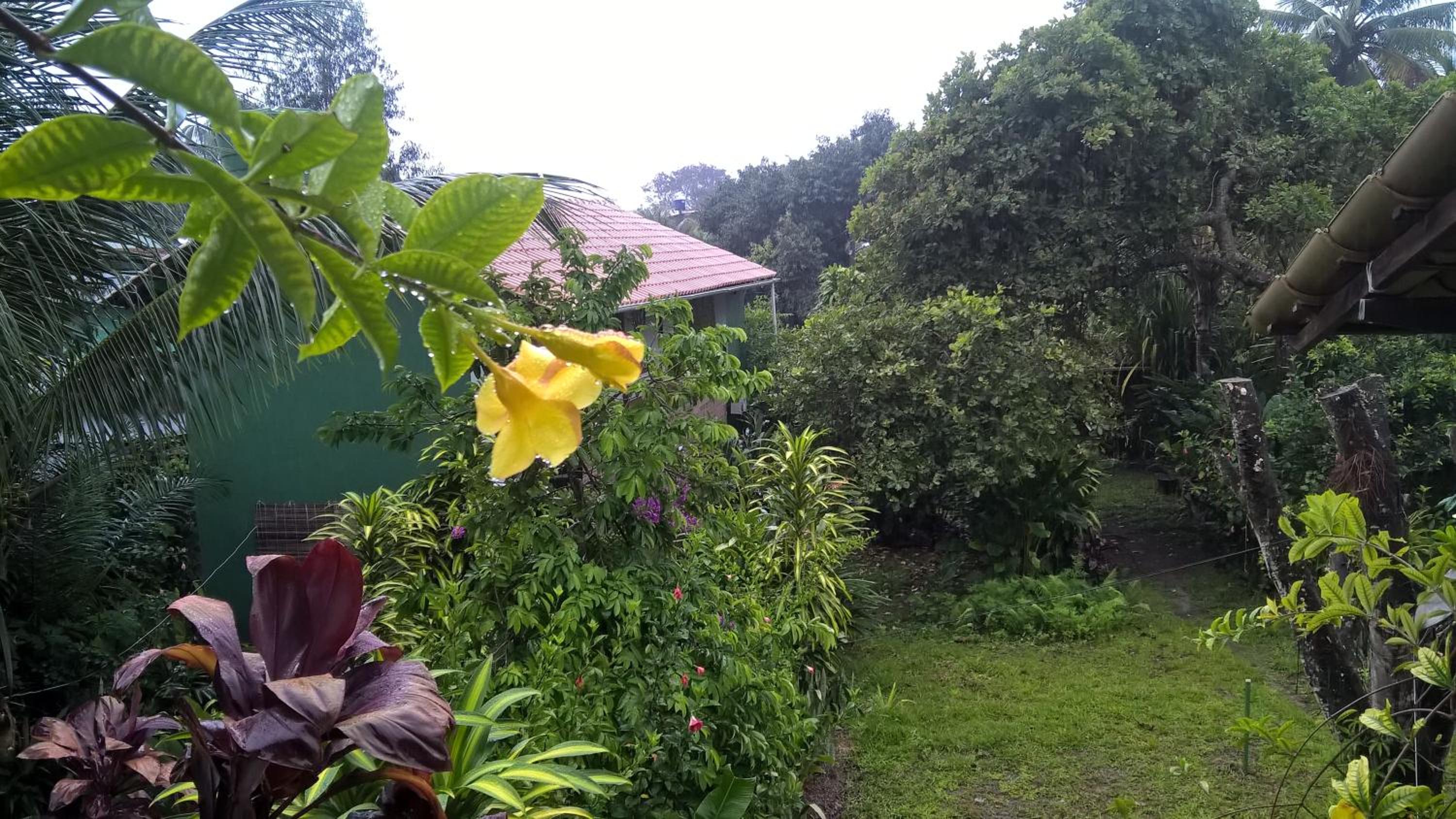 Photo 44