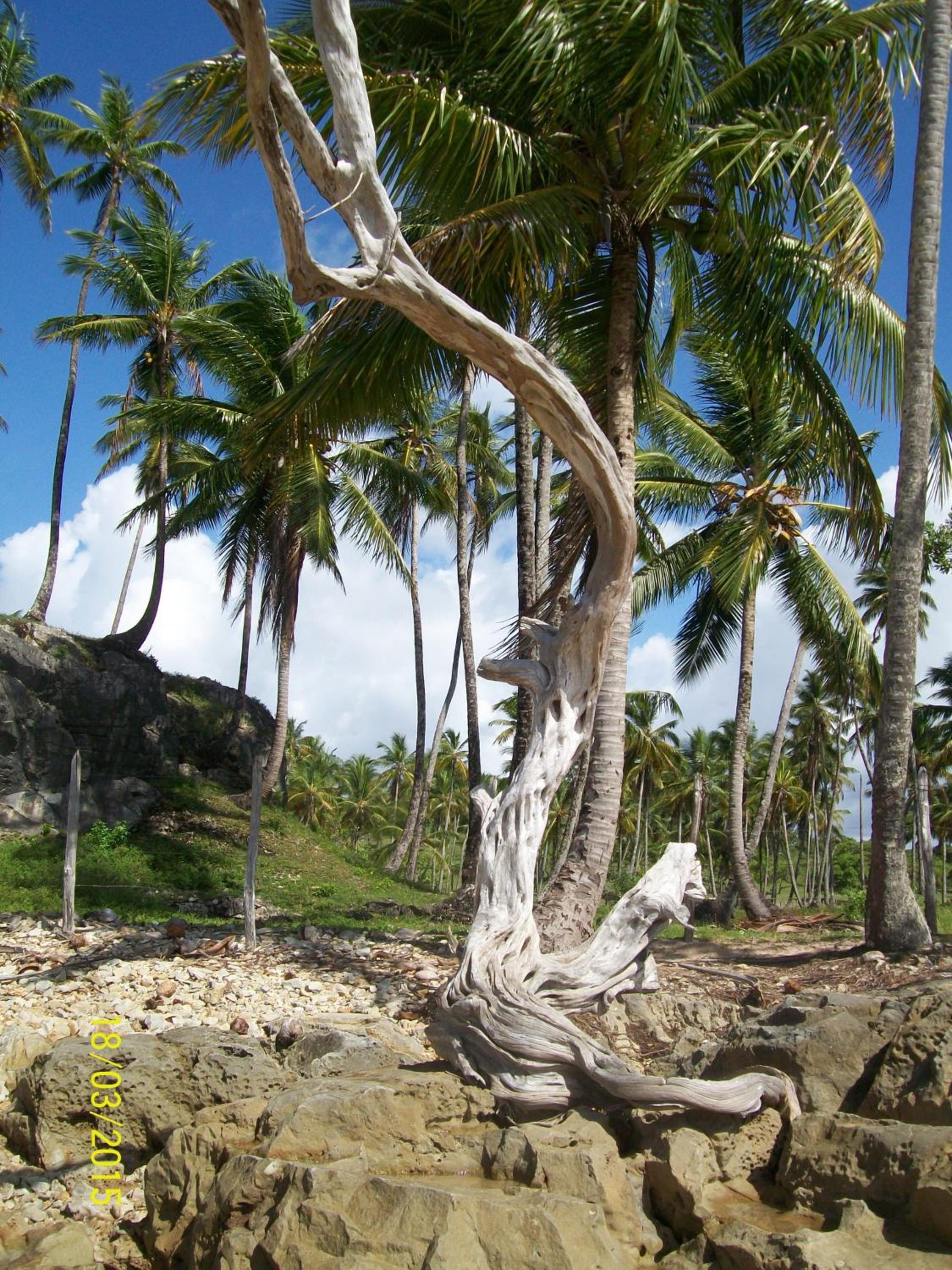 Photo 46