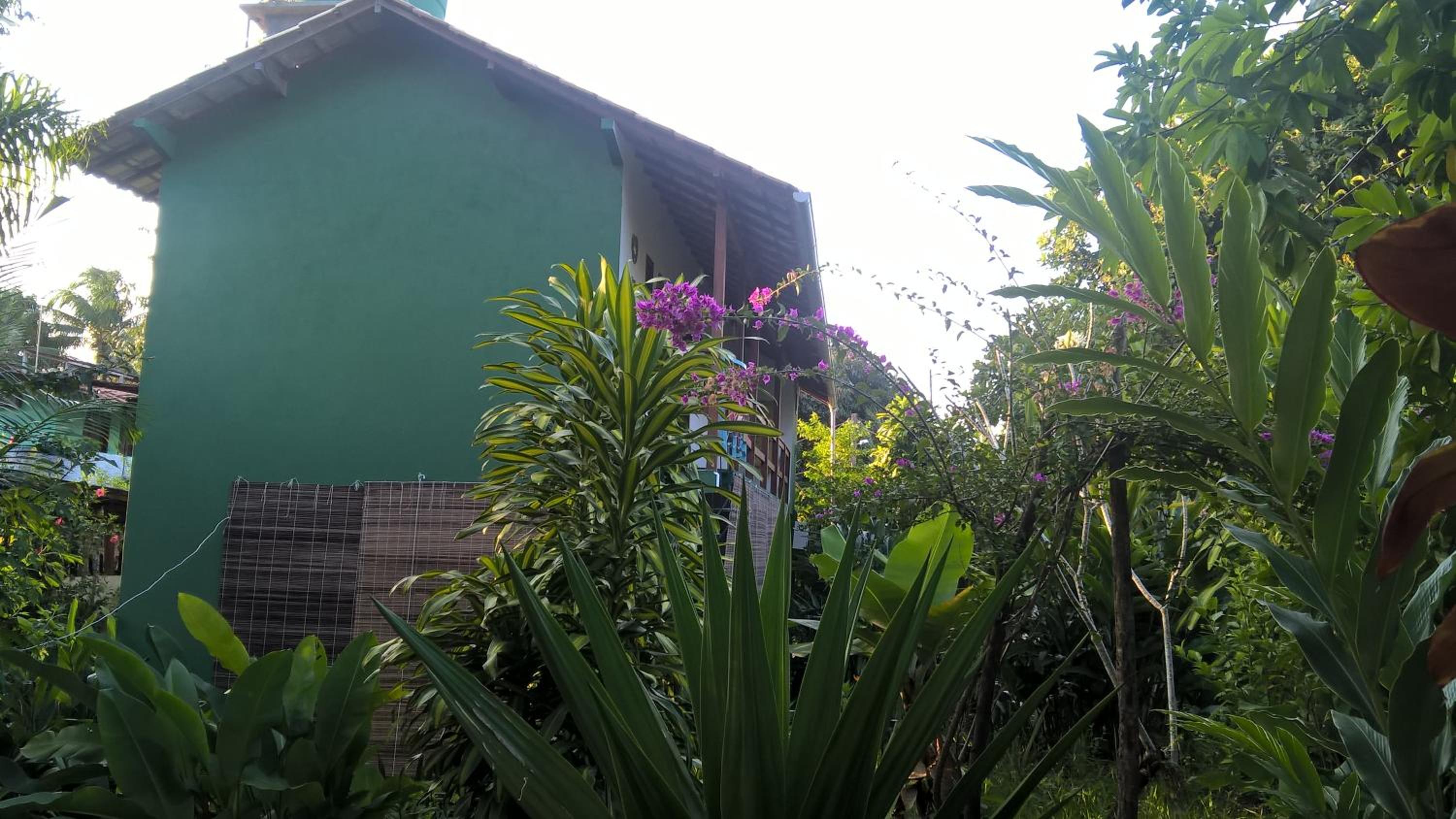Photo 47