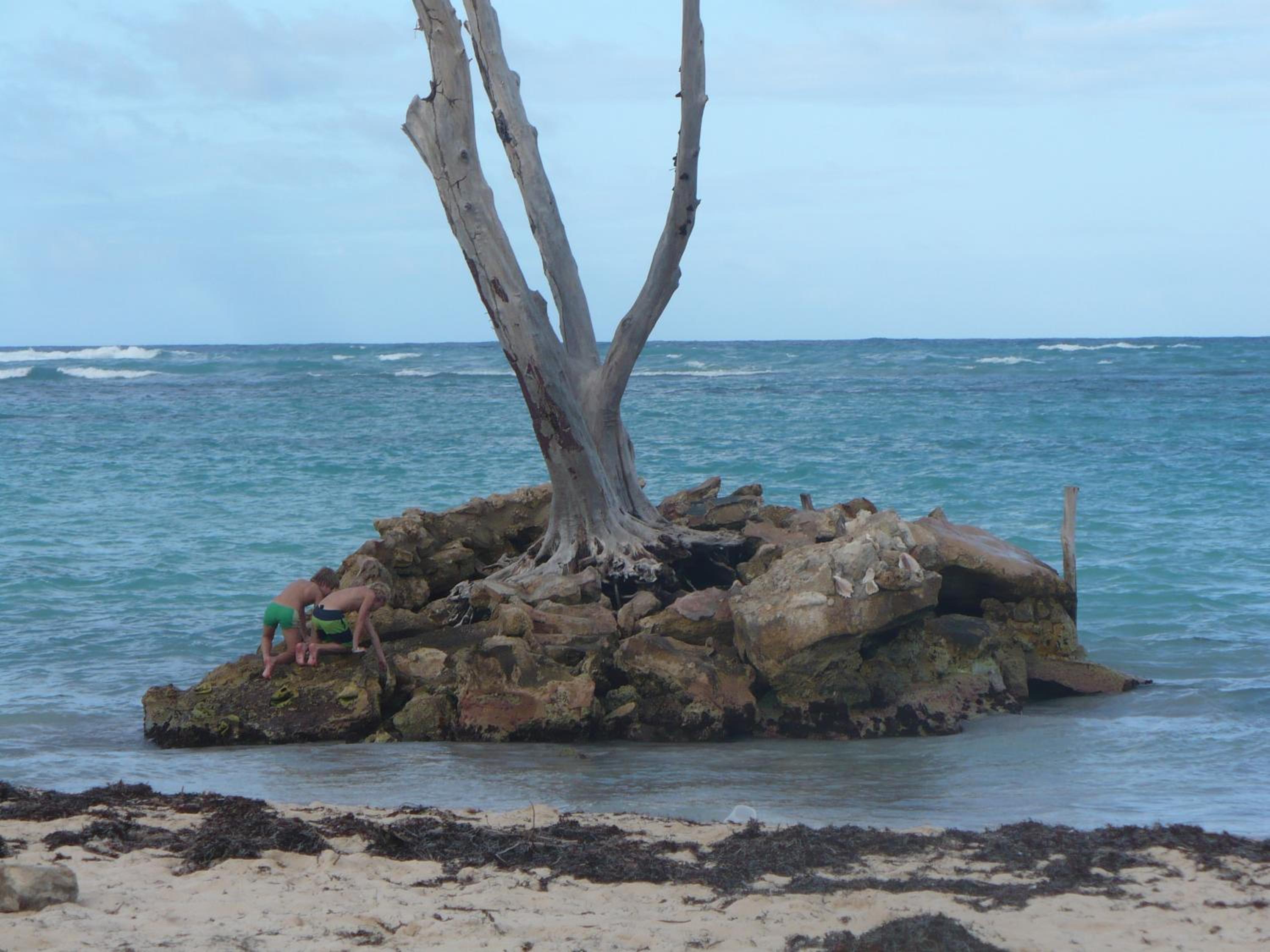 The Sanctuary @ Los Corales