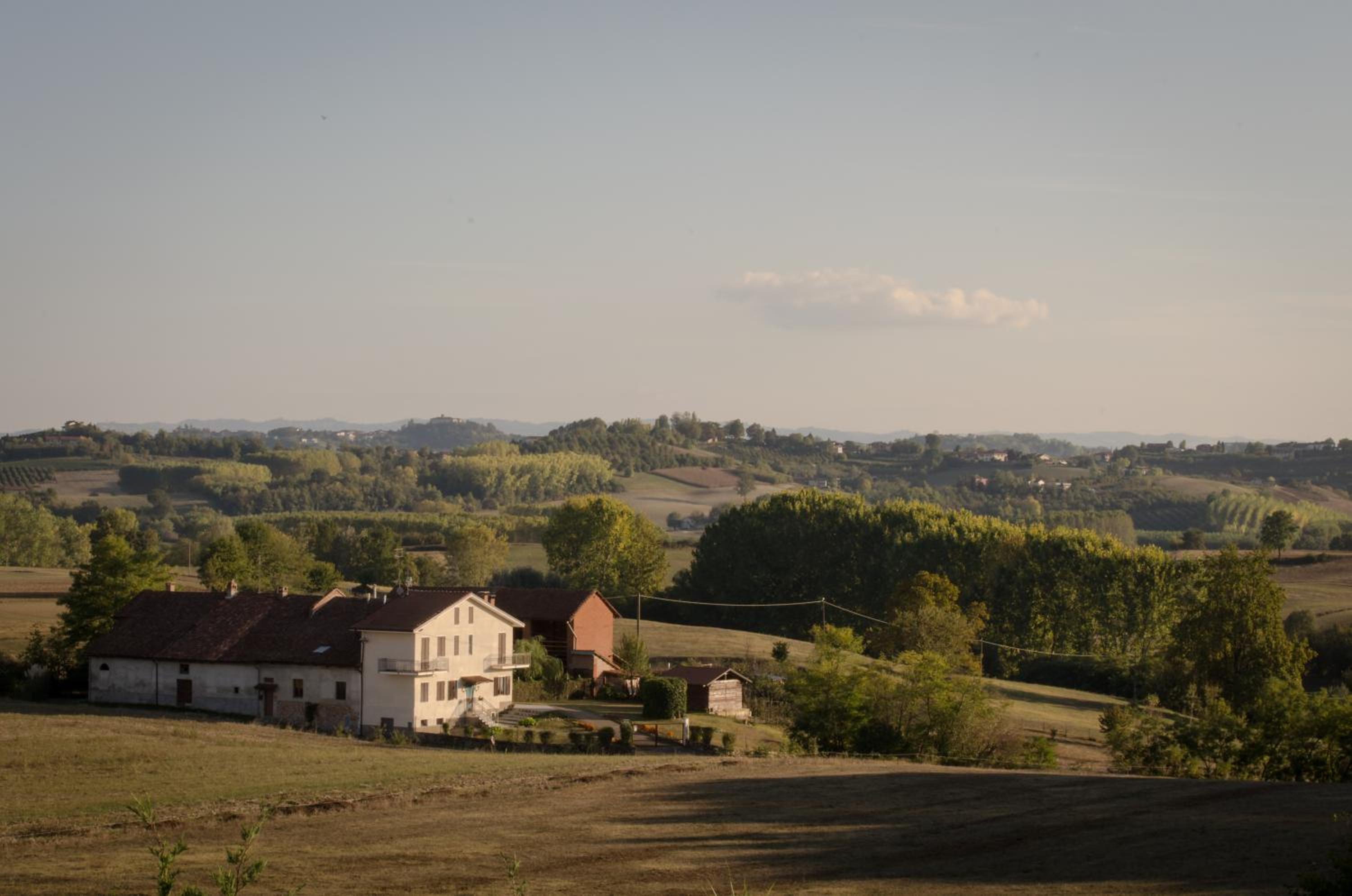 Photo 24