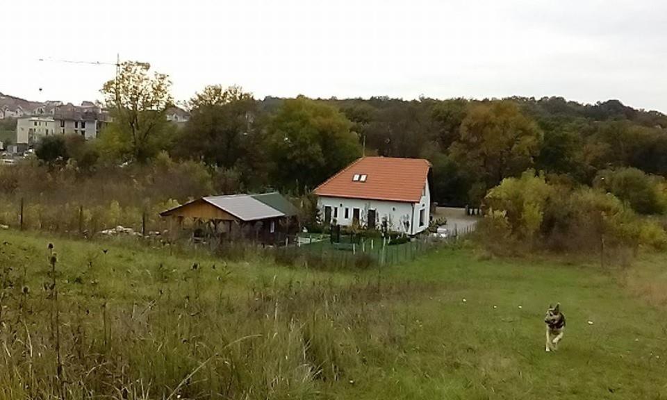 Photo 34