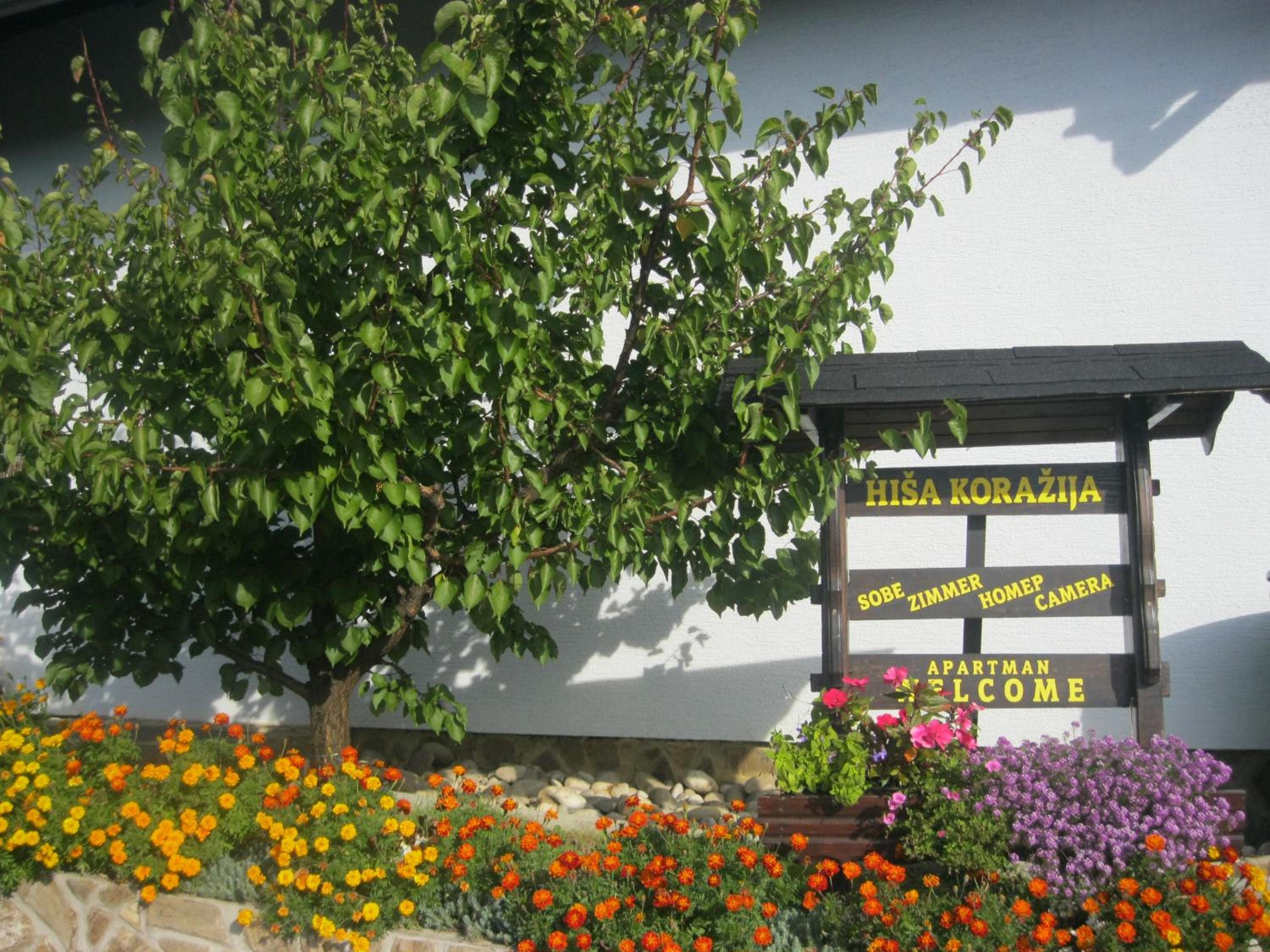 Hiša Koražija view 3