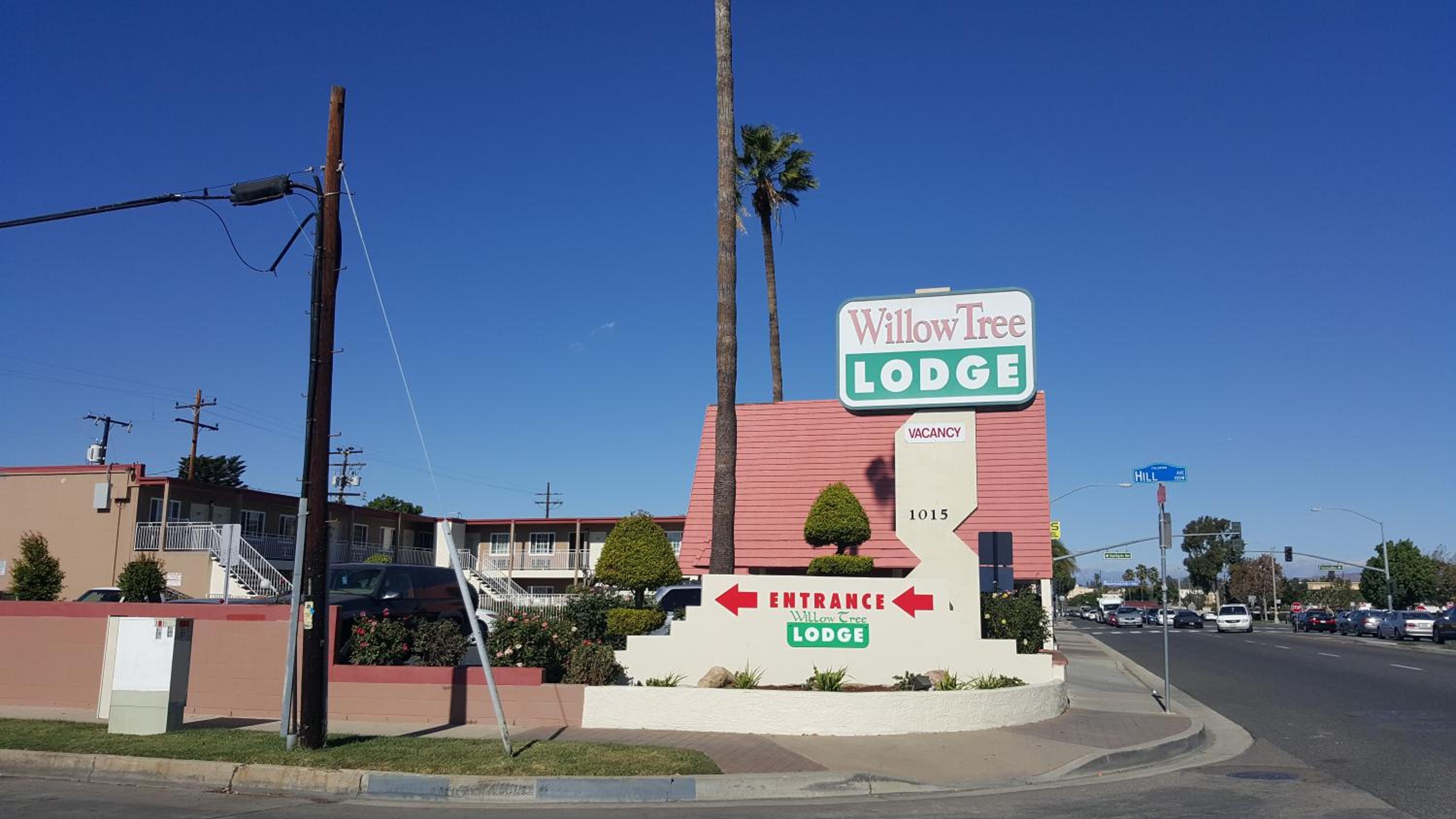 Willow Tree Lodge