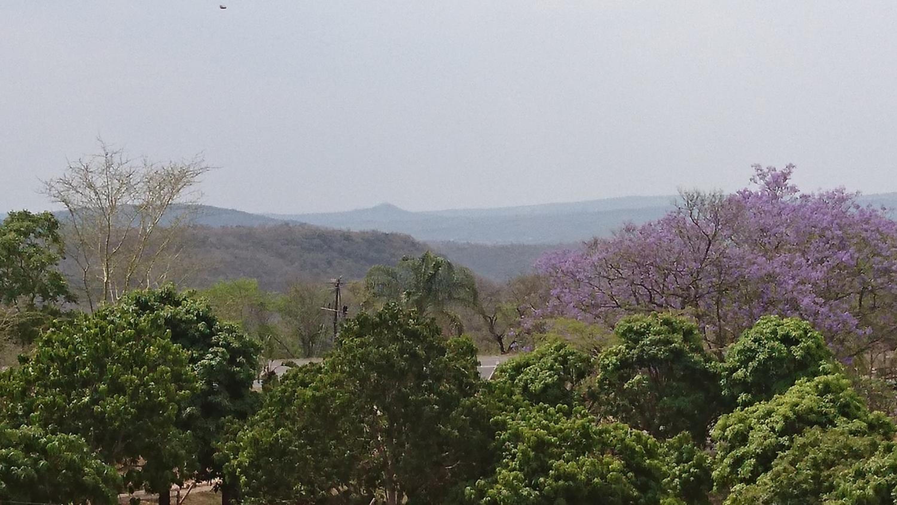 Hazyview Vacations - Numbi Hills Self-Catering - Property Image 25