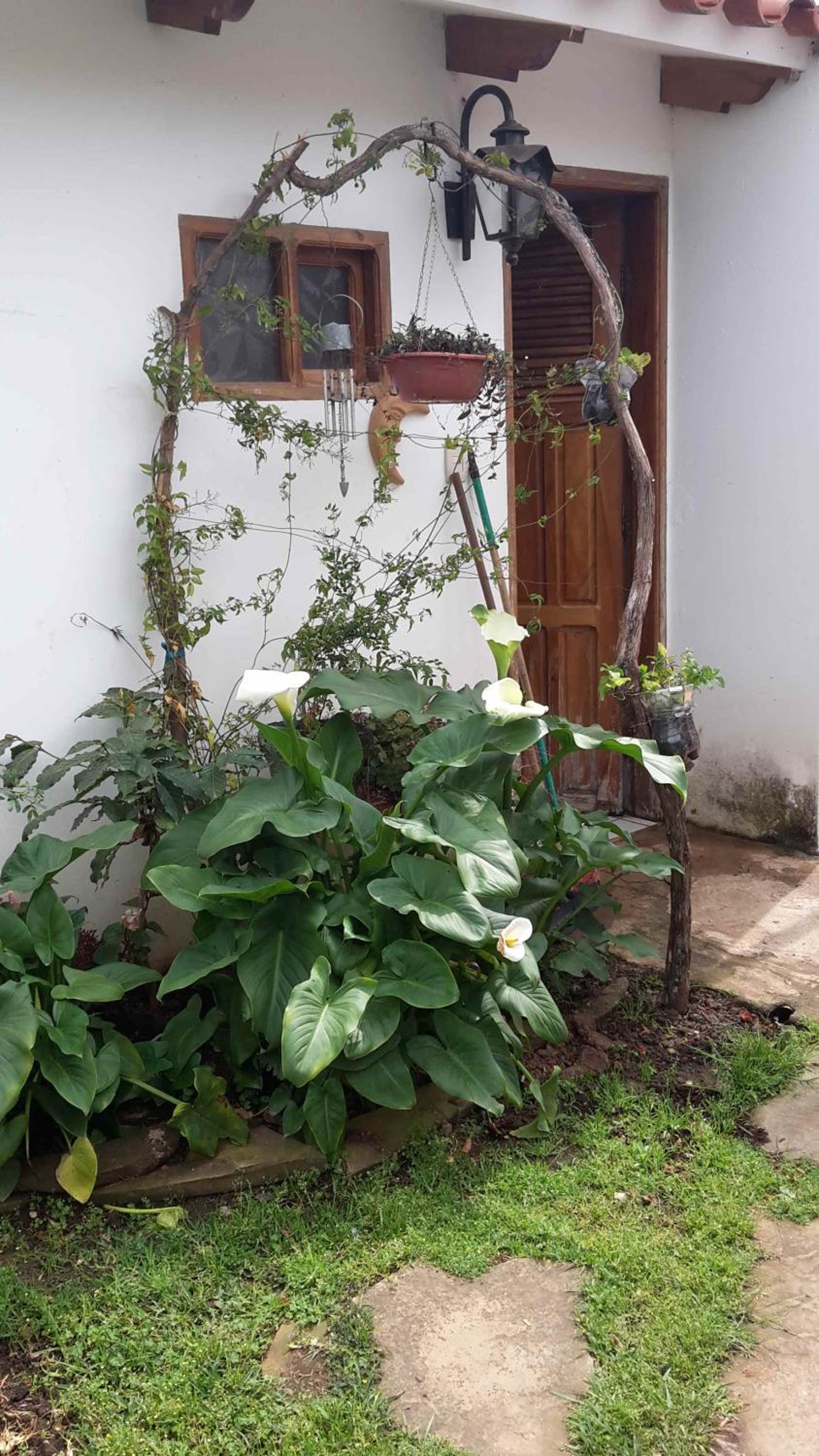 Posada Guasu