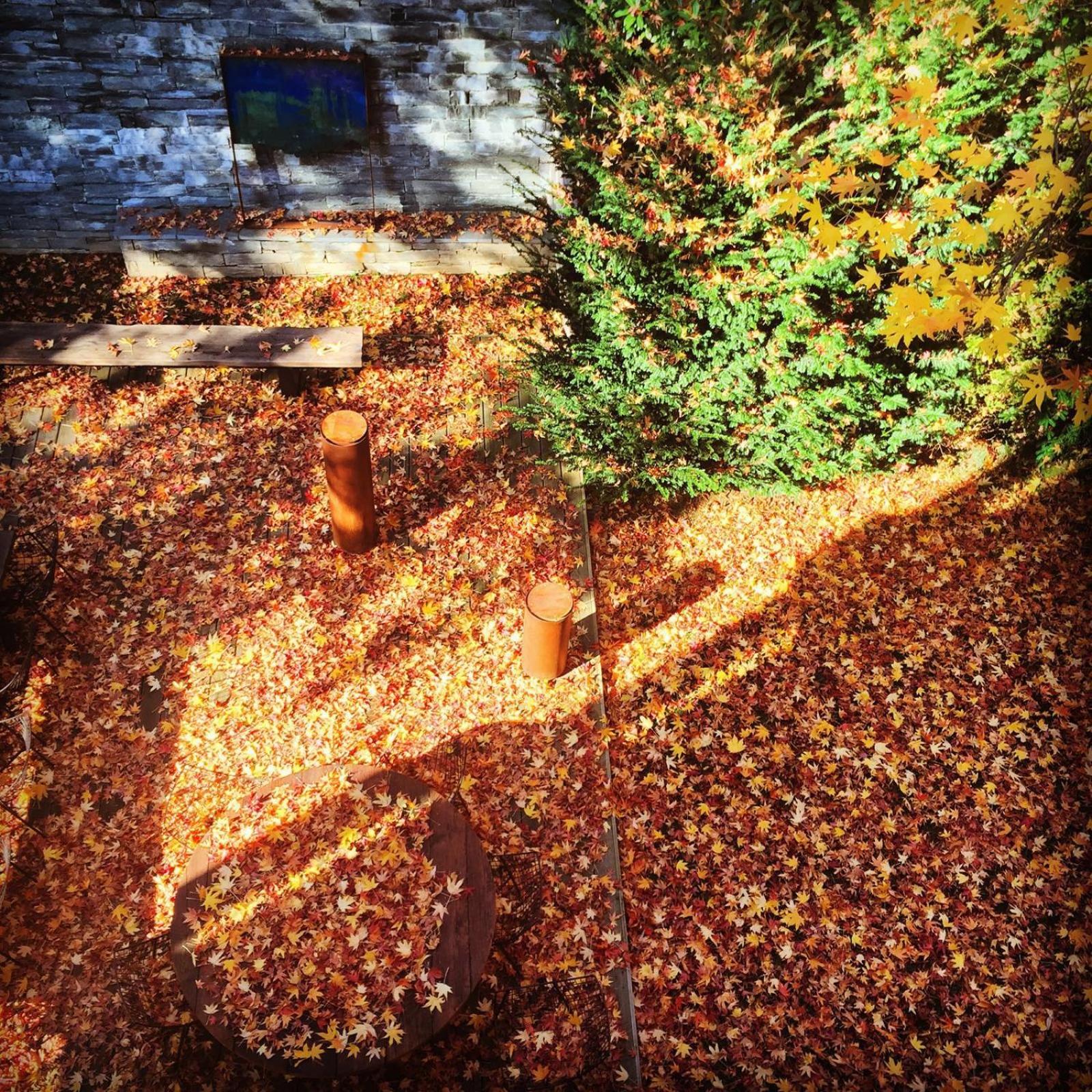 Casa Sull'Albero en Malgrate