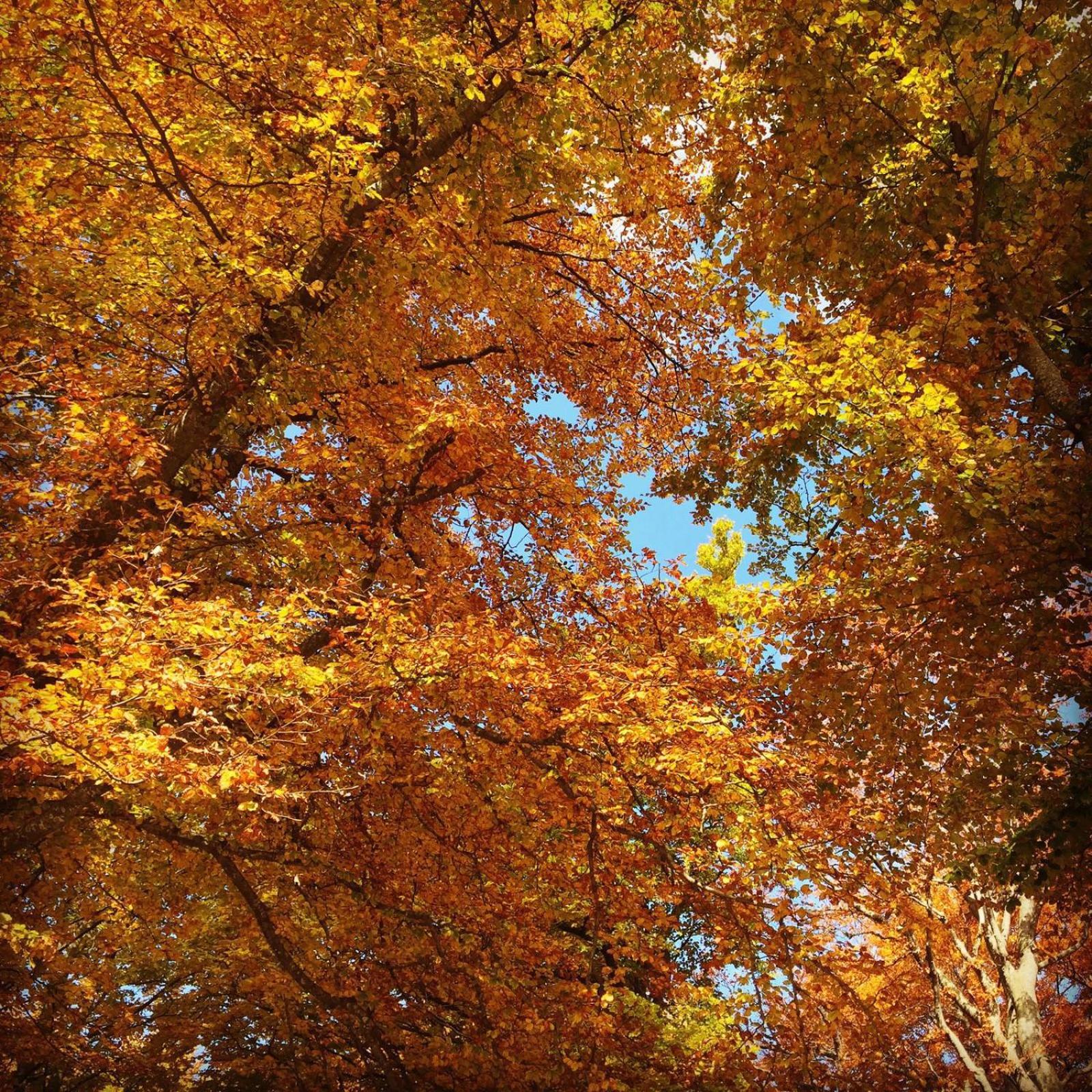 Casa Sull'Albero en Malgrate