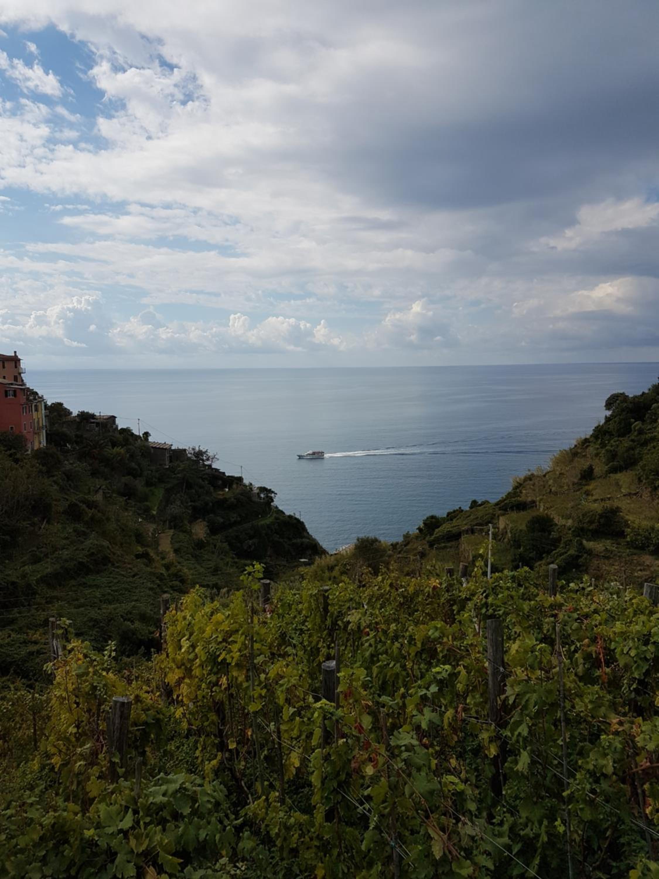 Photo 83