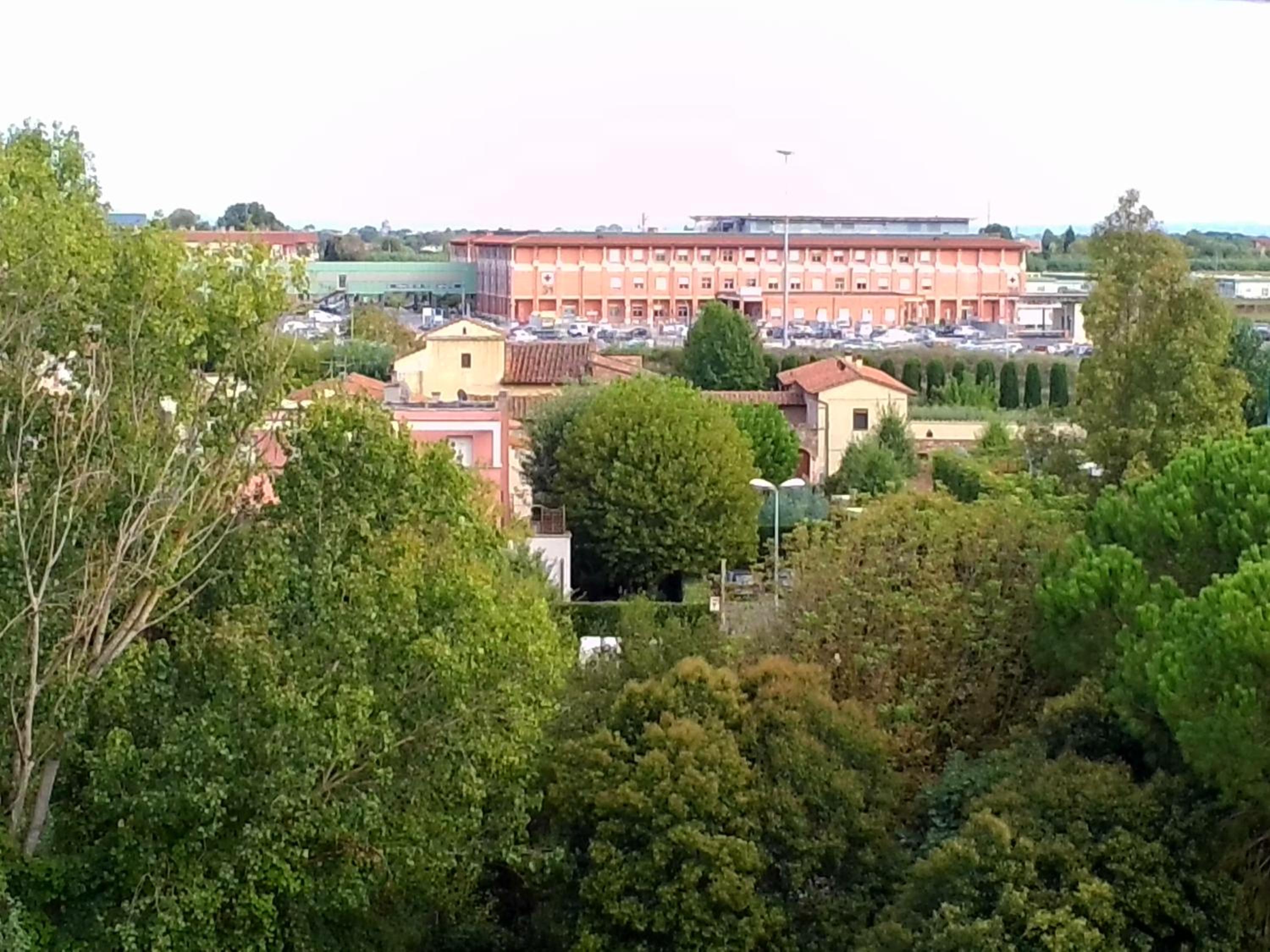 Photo 42