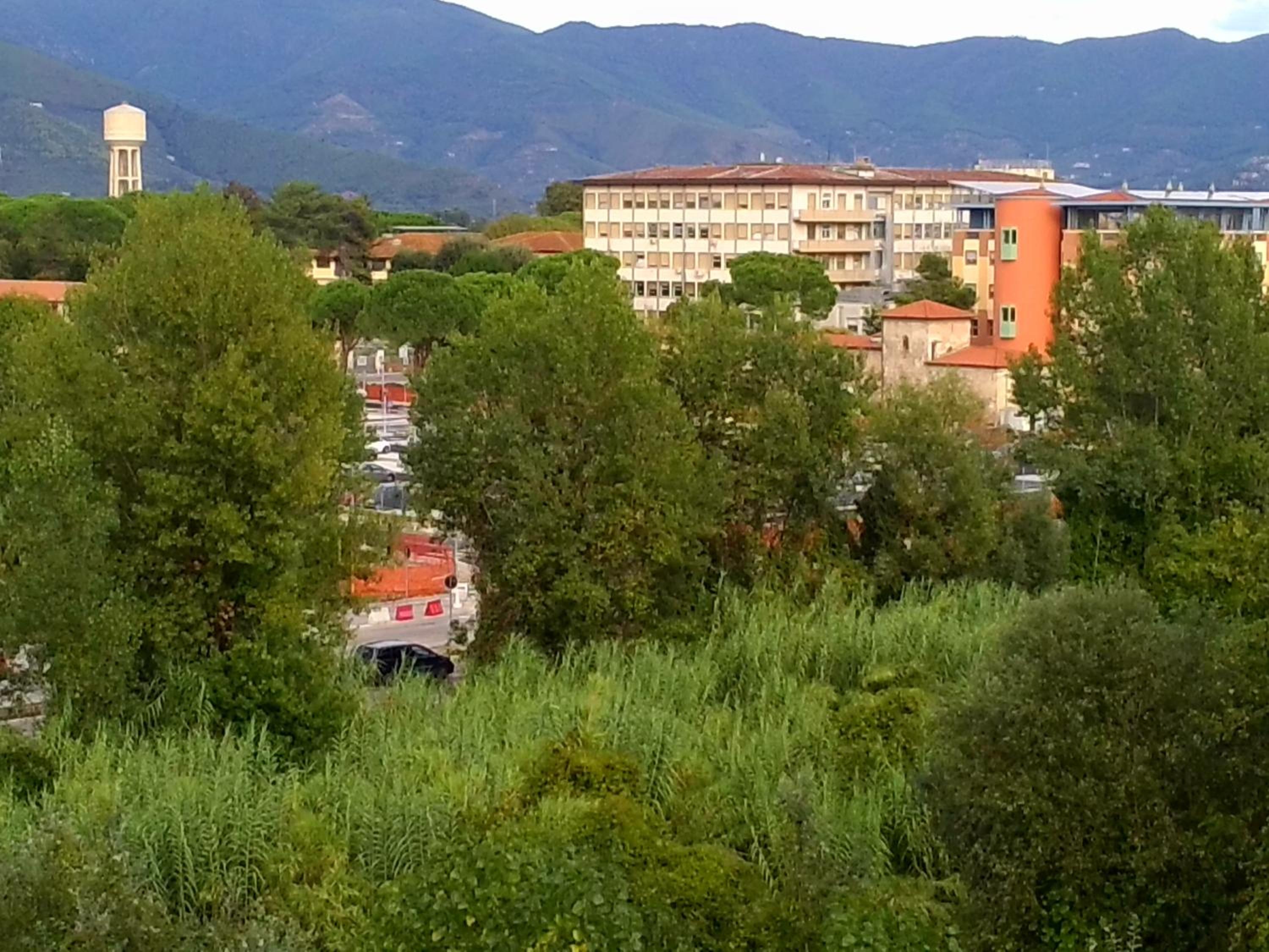 Photo 41