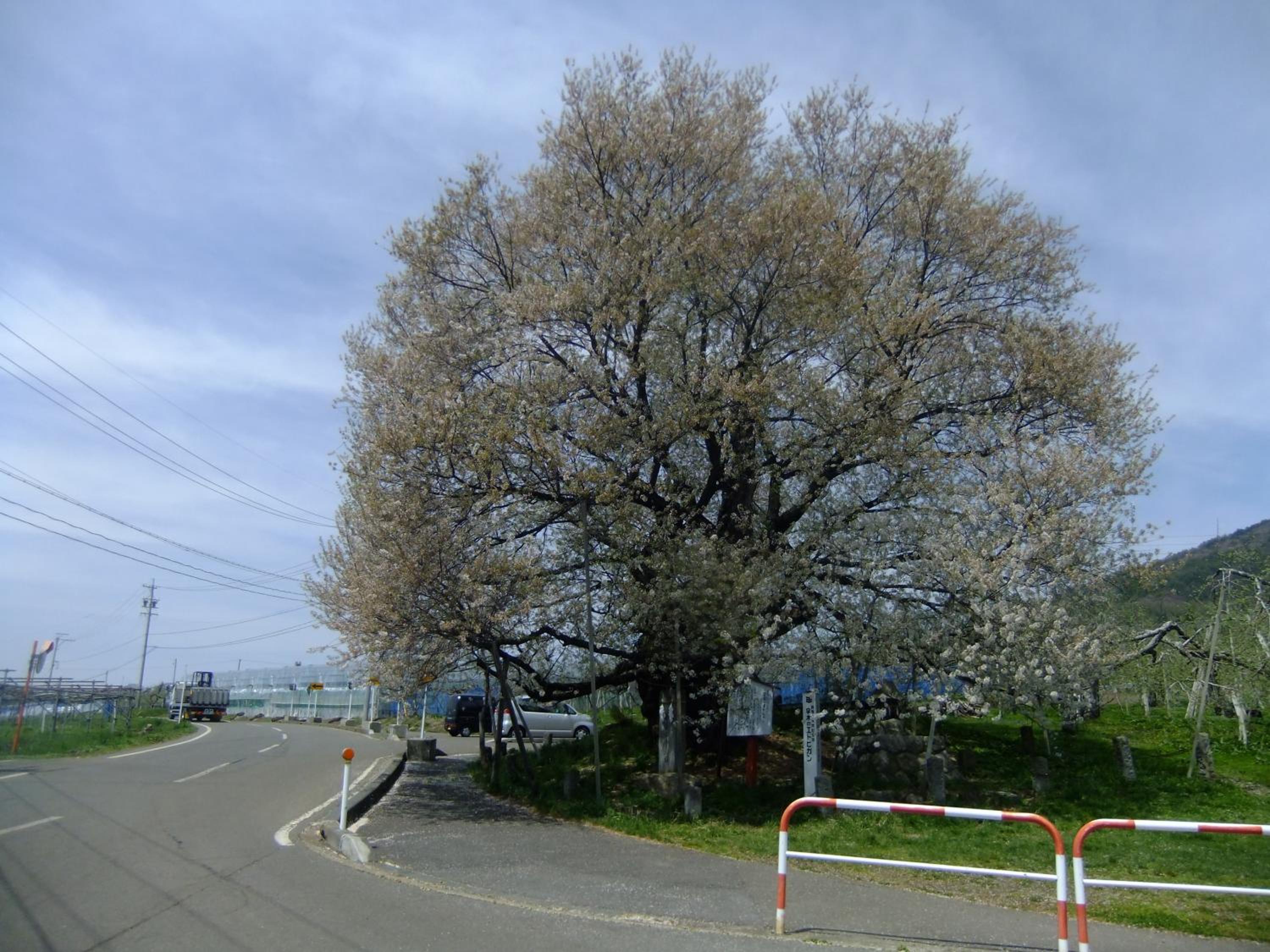 Photo 43