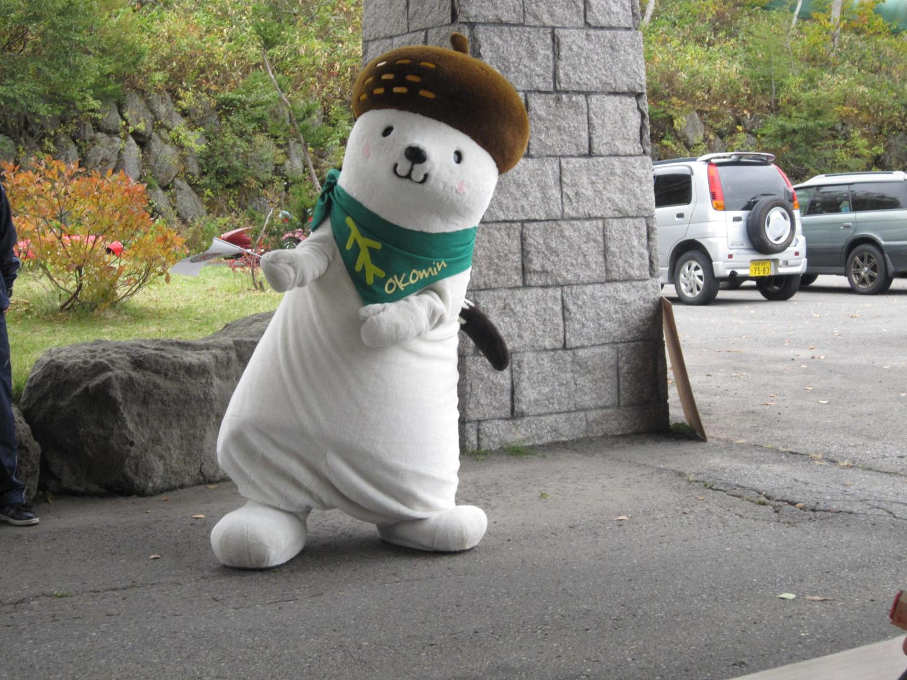 Photo 41