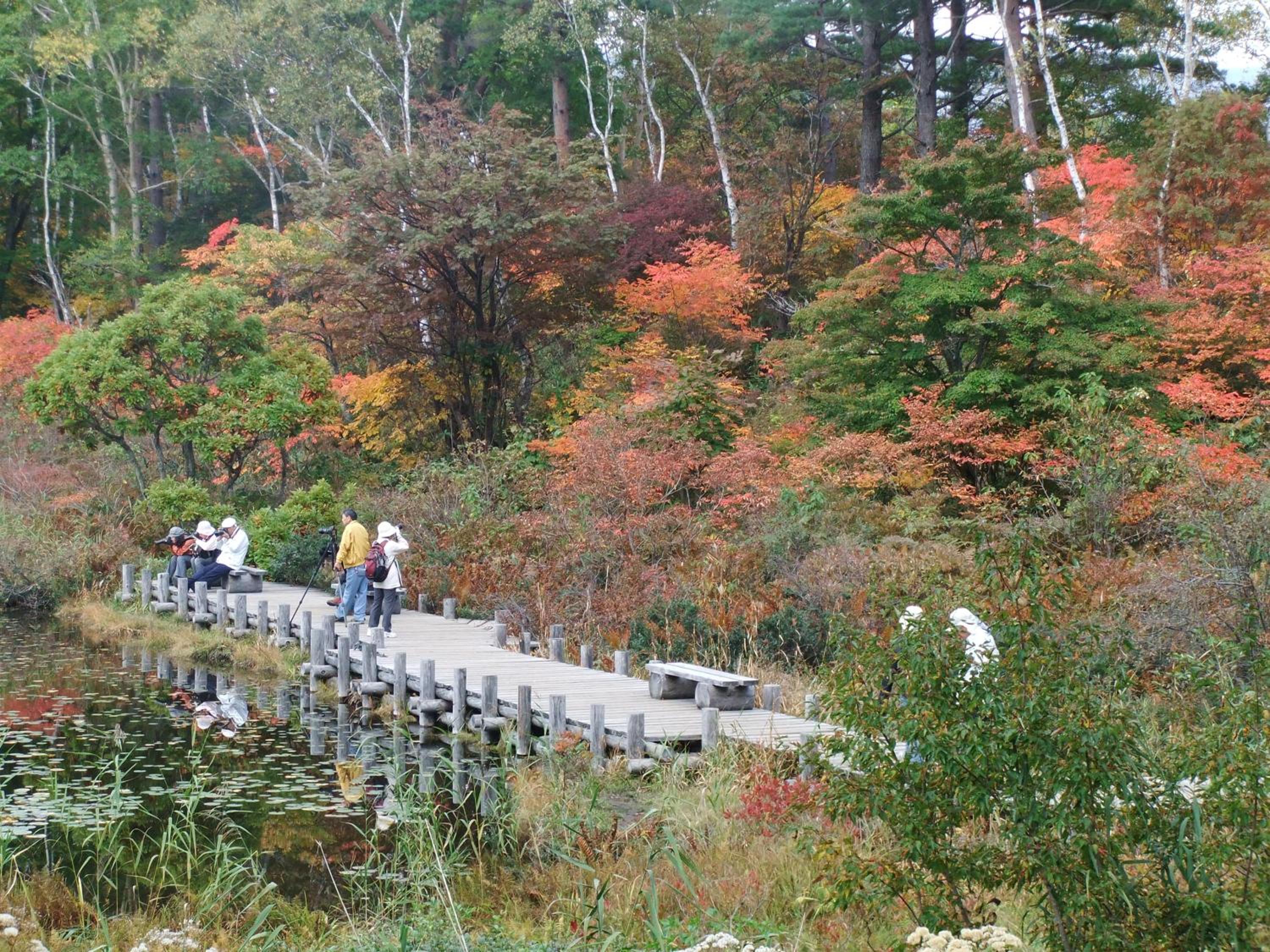 Photo 54
