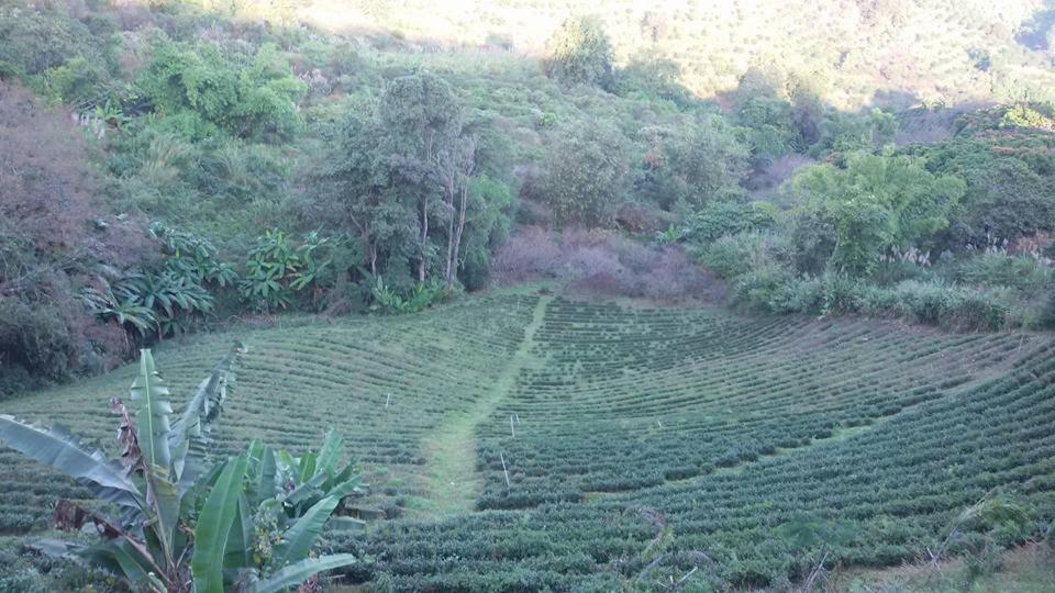 Baan Ruam Cha