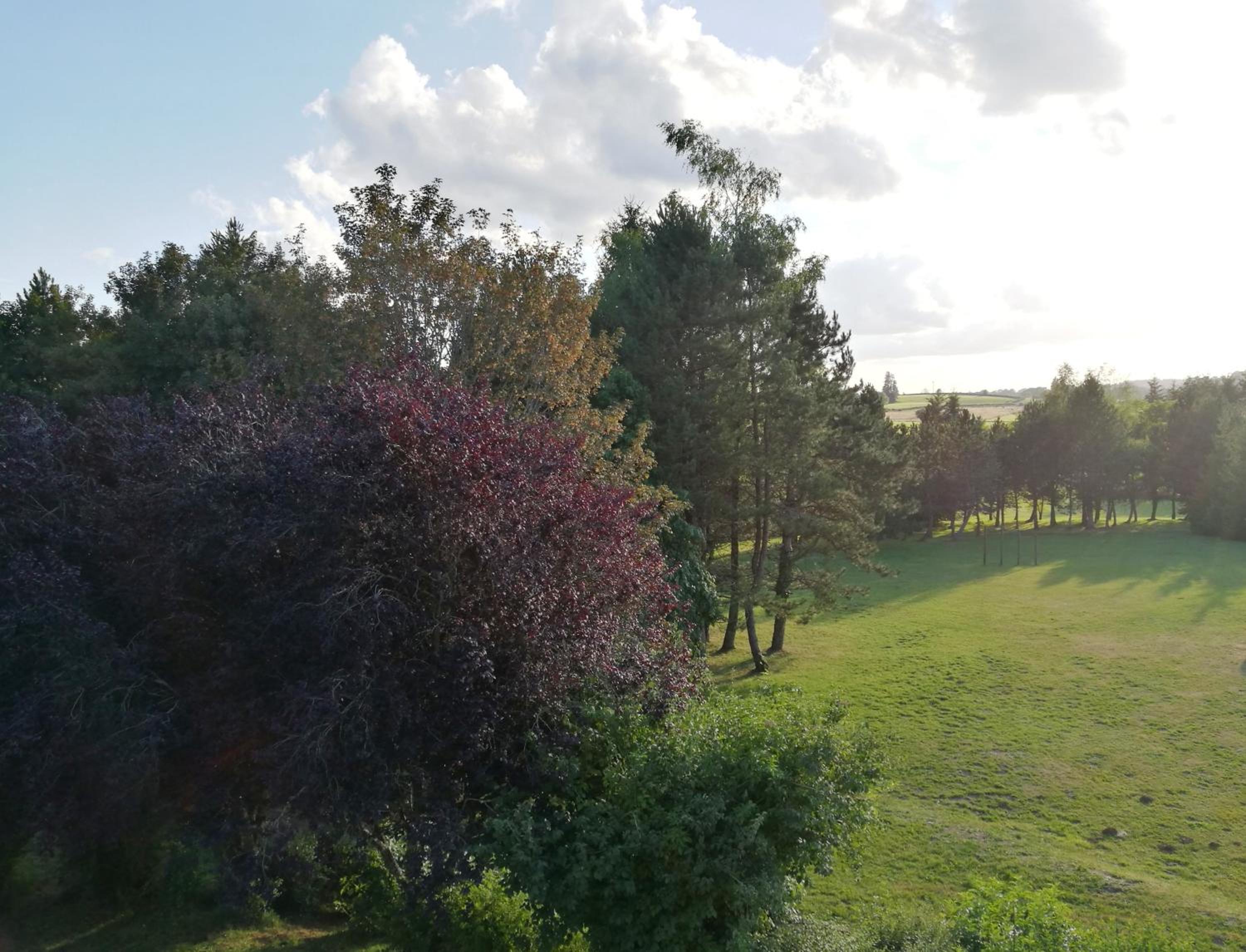children's play area