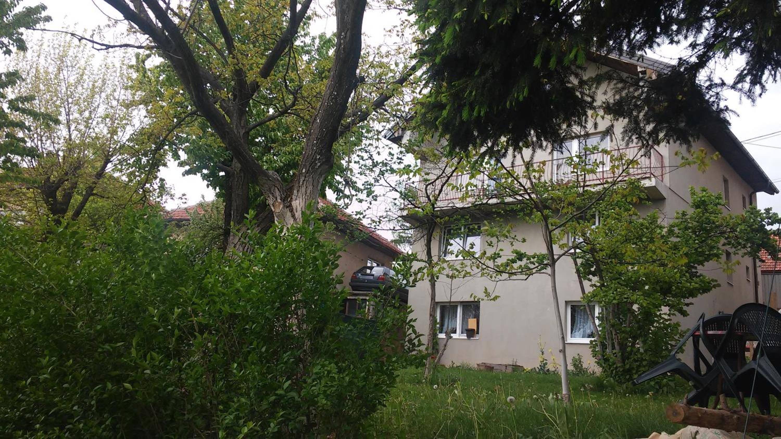 Photo 46