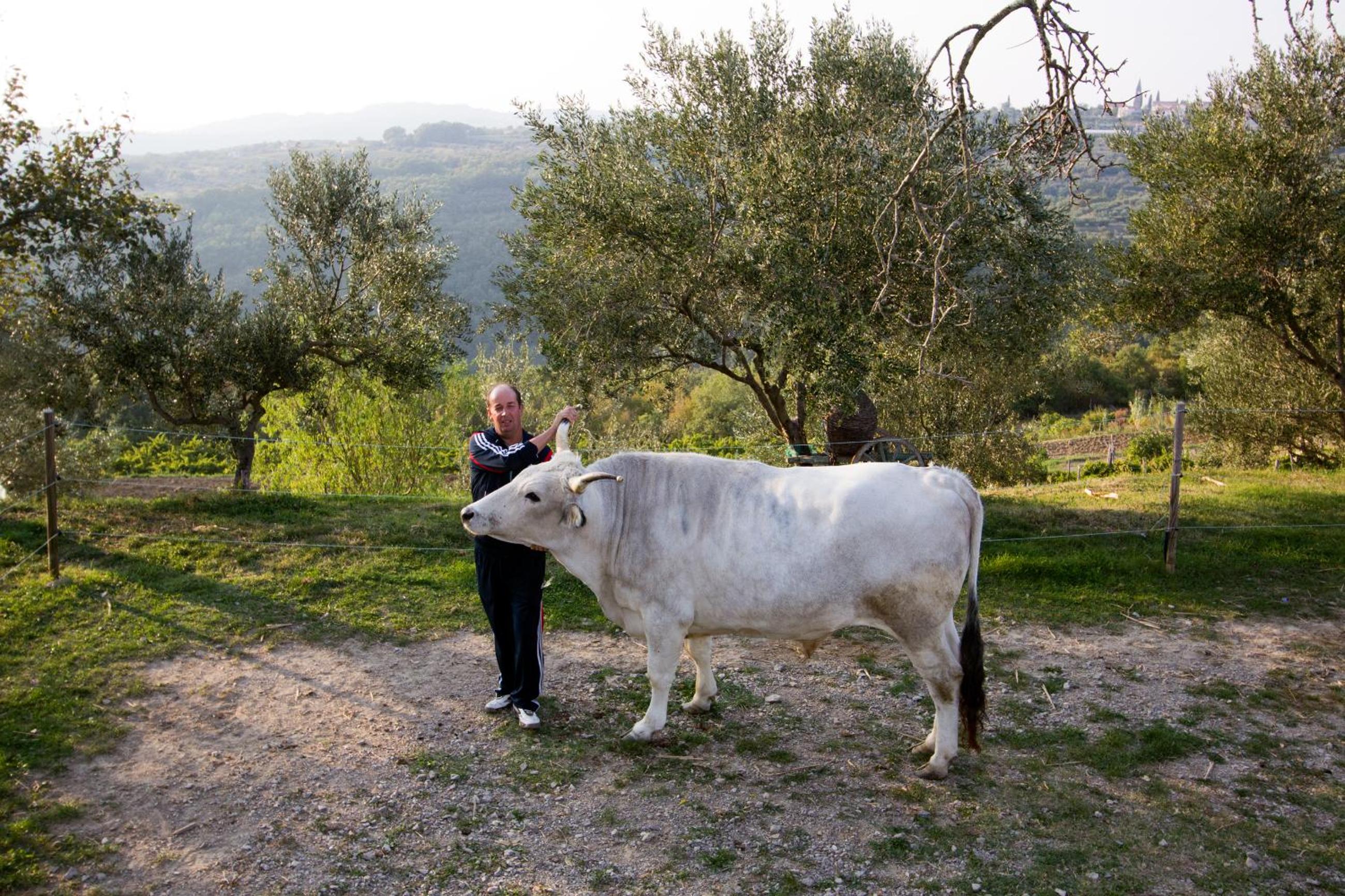 Tourist Farm Robivera view 3