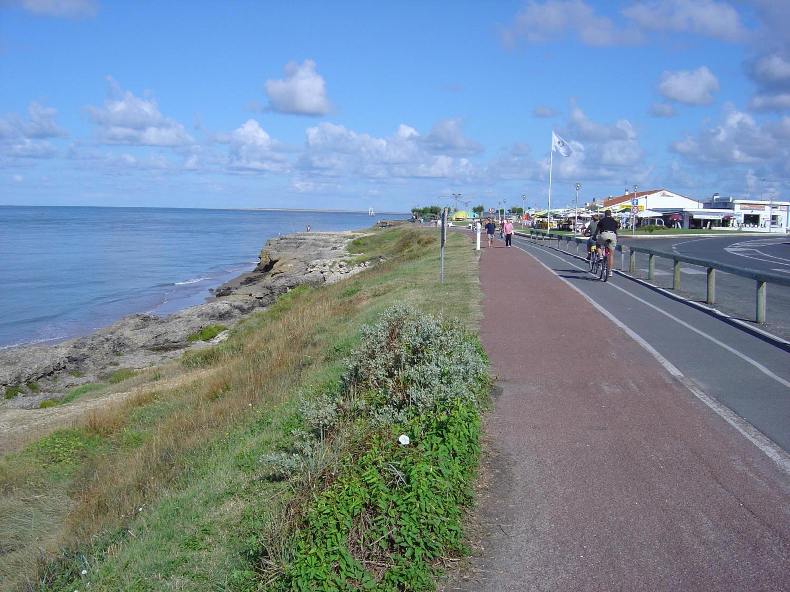 Photo 49