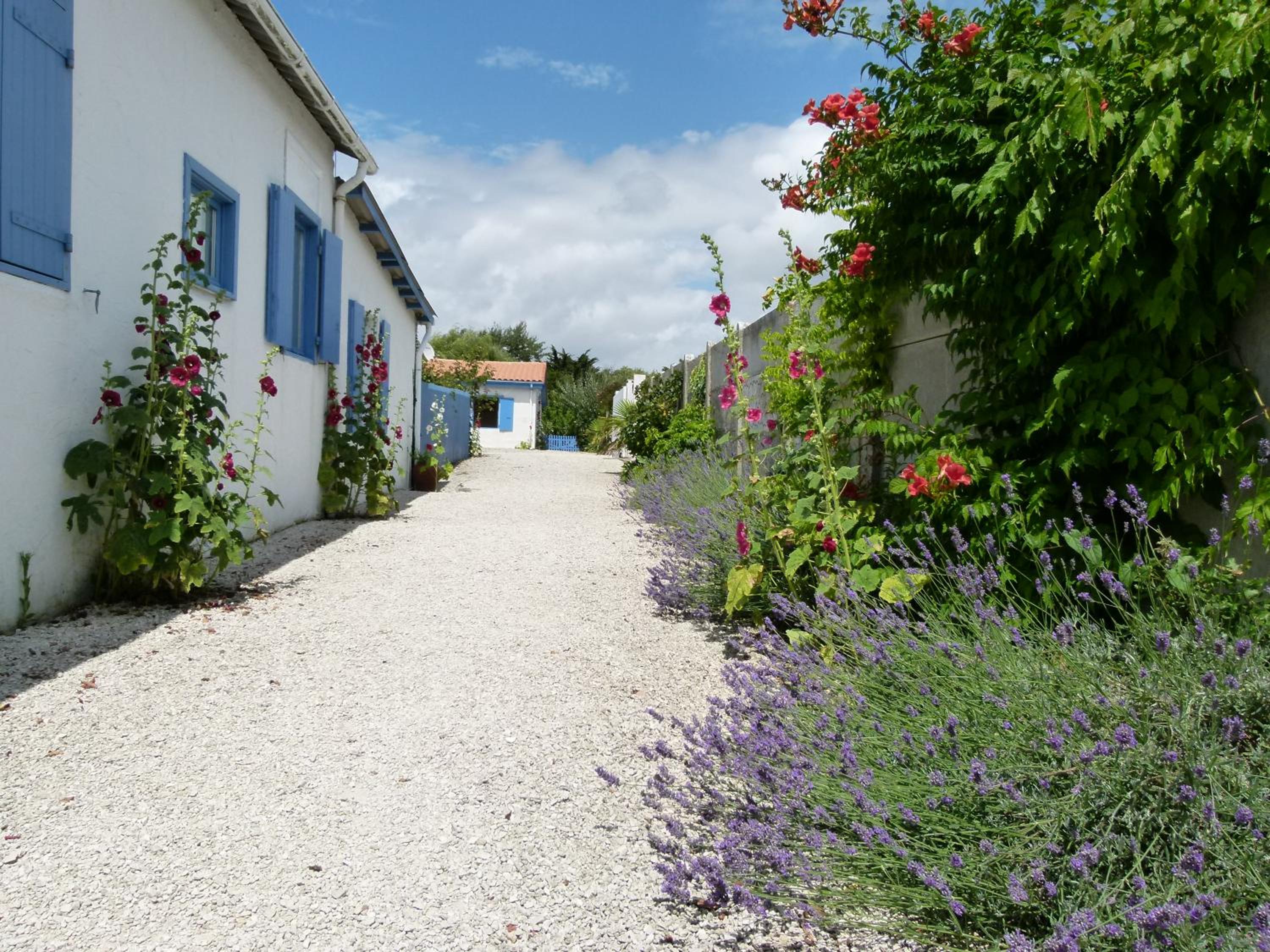 Photo 43