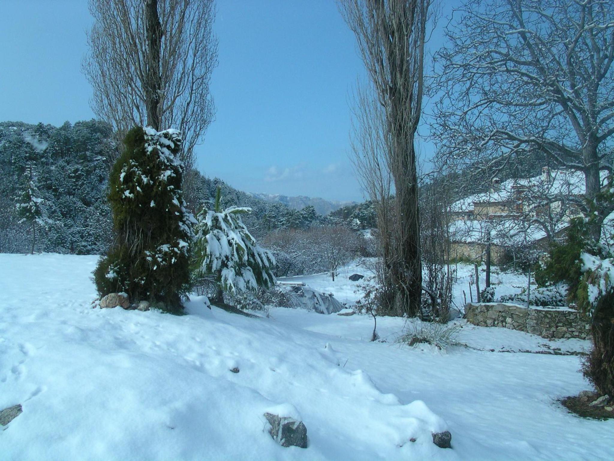 Photo 14