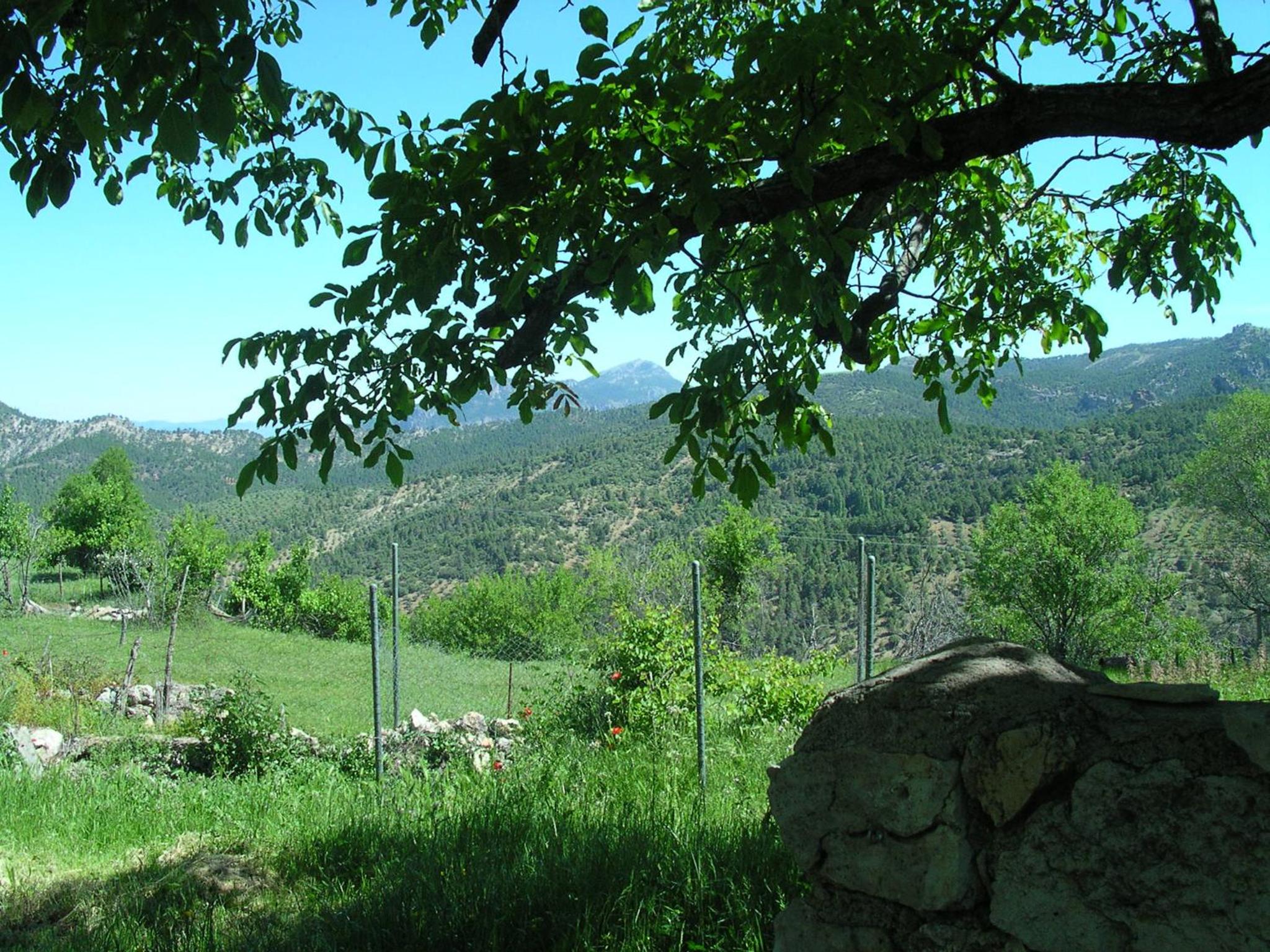La casa de la Luz view 5