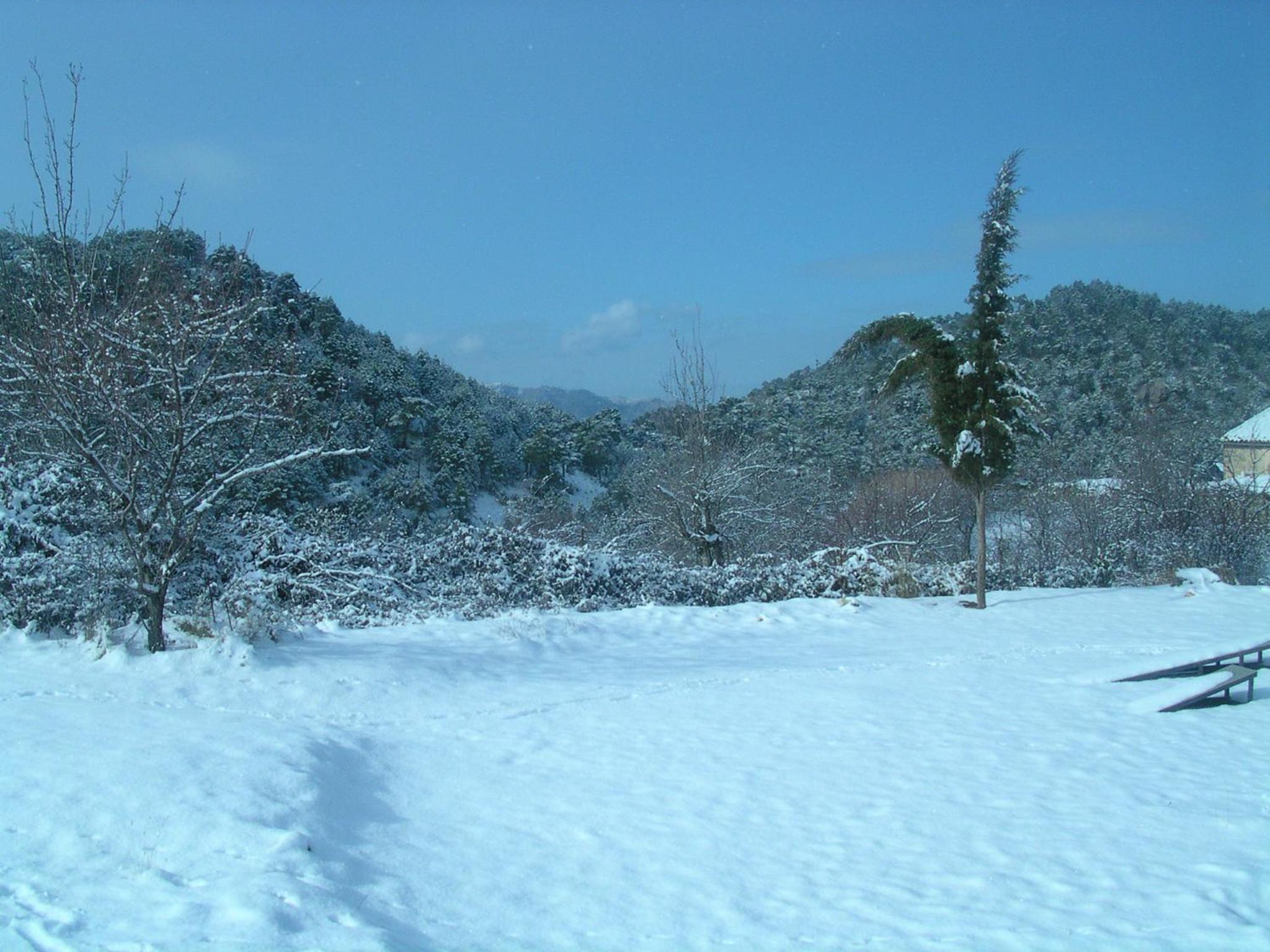 Photo 13