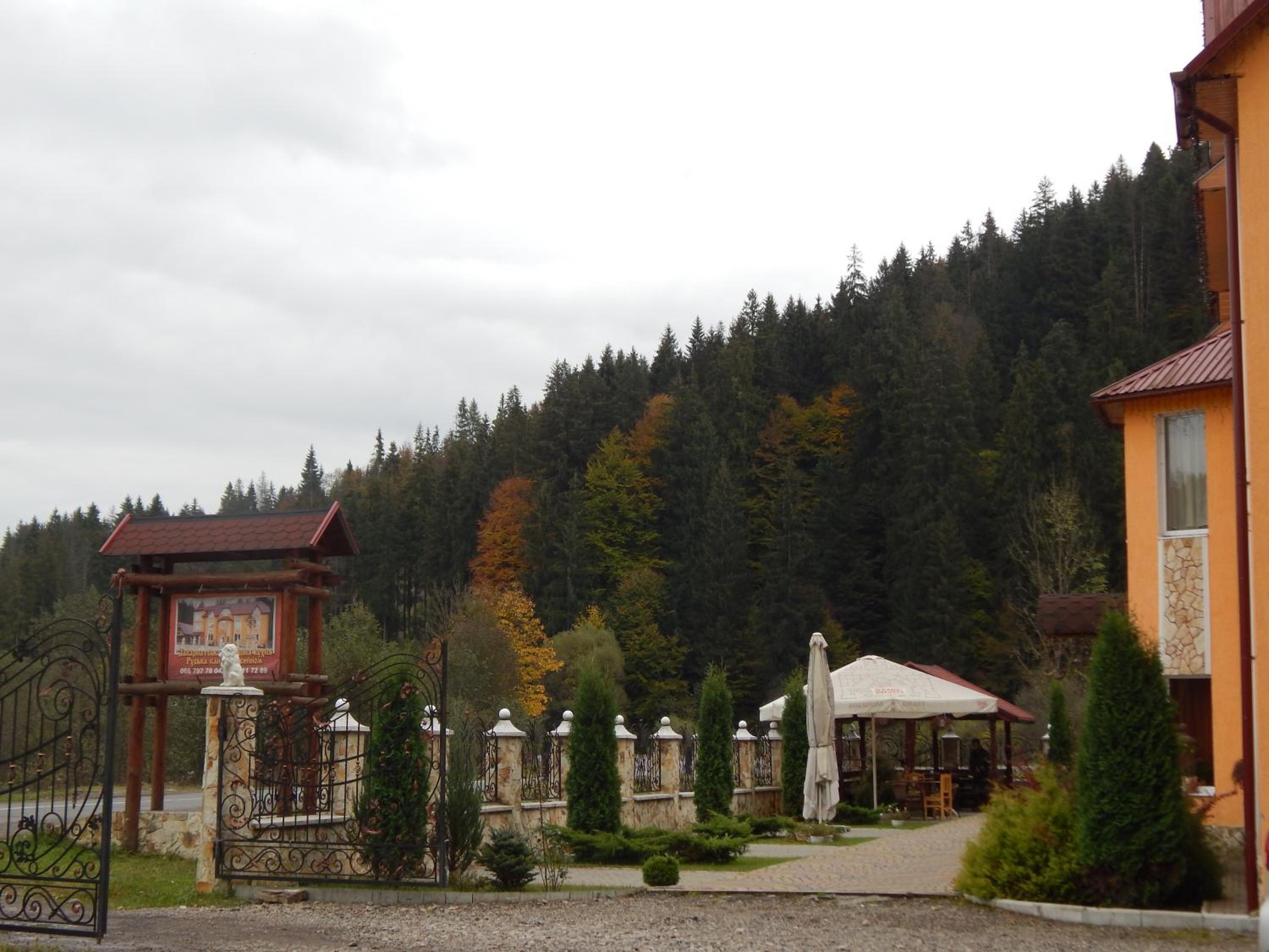Photo 19