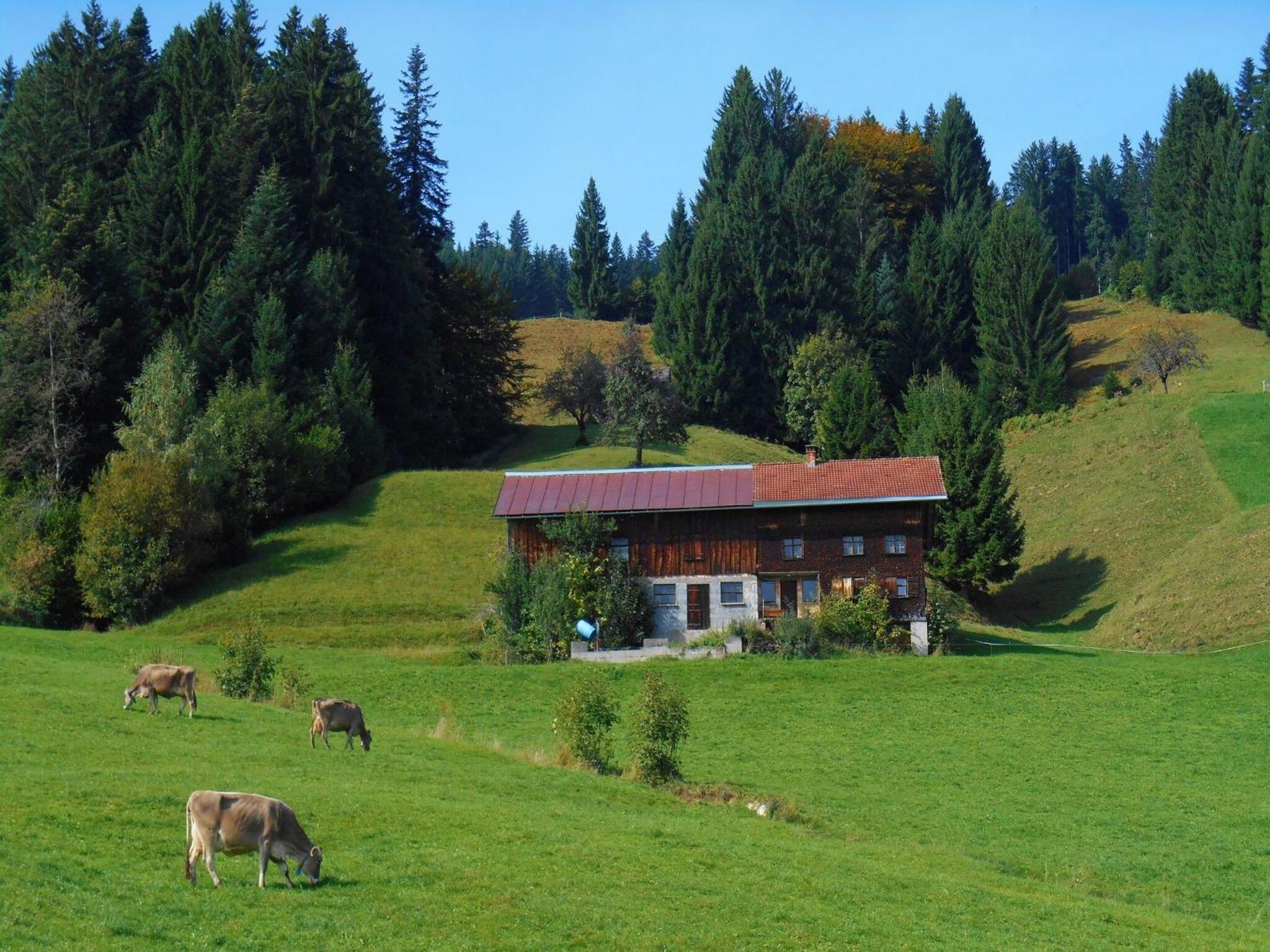 Ferienwohnung Rath view 4